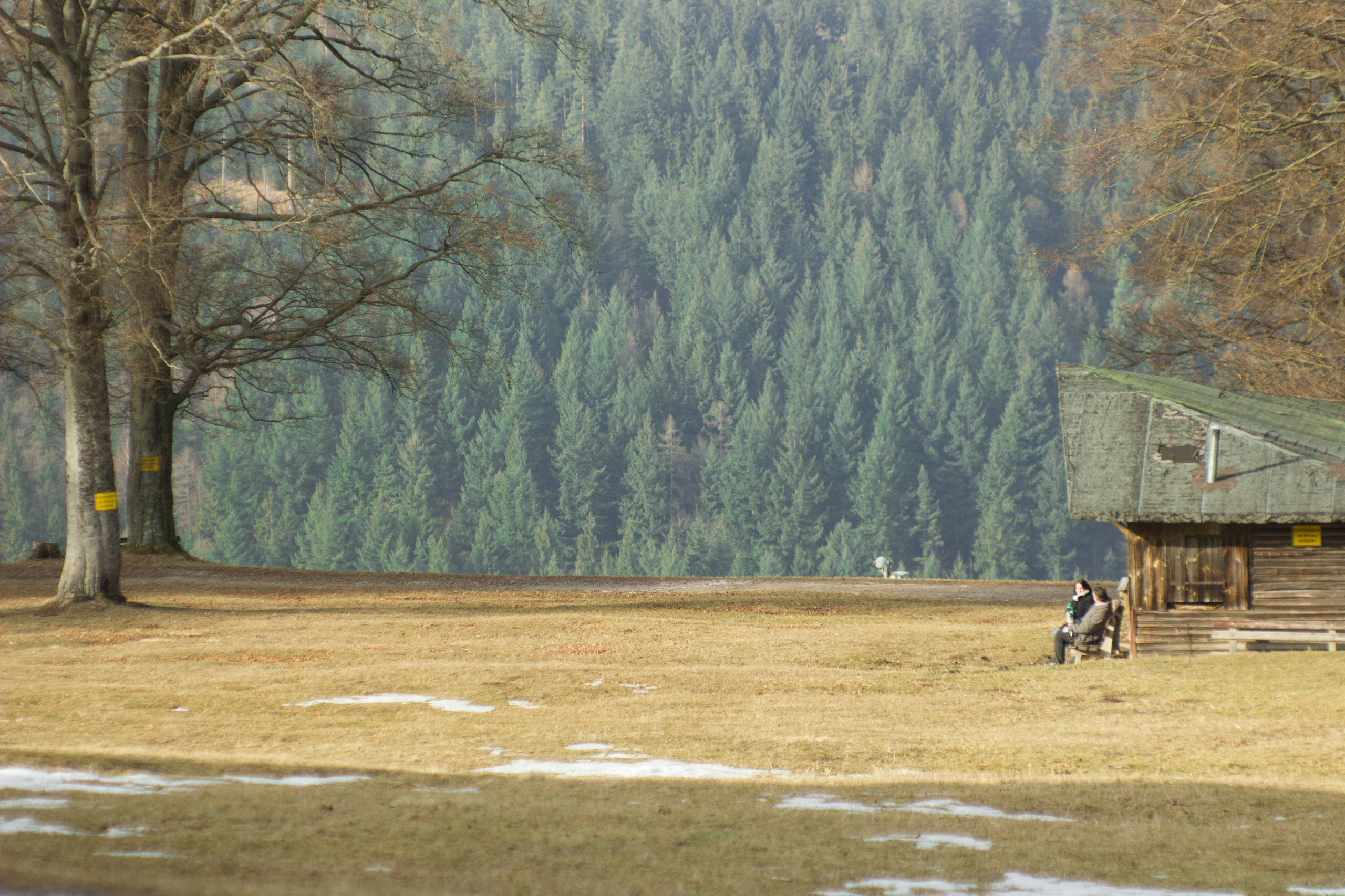 Baumwipfelpfad in Bad Wildbad. Maria Chistyakovа — Fotografin in Karlsruhe, Baden-Baden und Umgebung