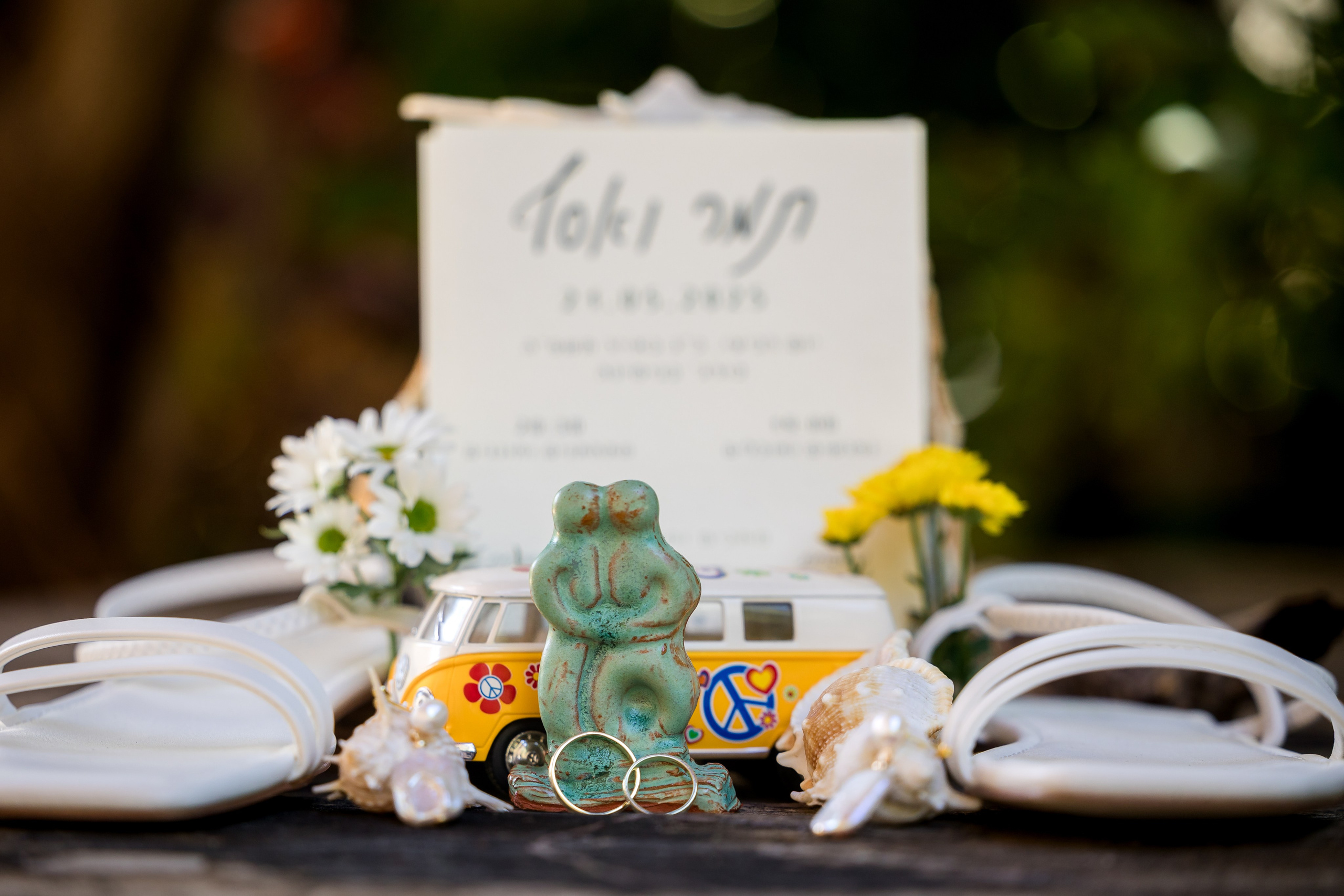 Tamar & Assaf. AMIR BUCHNIK PHOTOGRAPHER