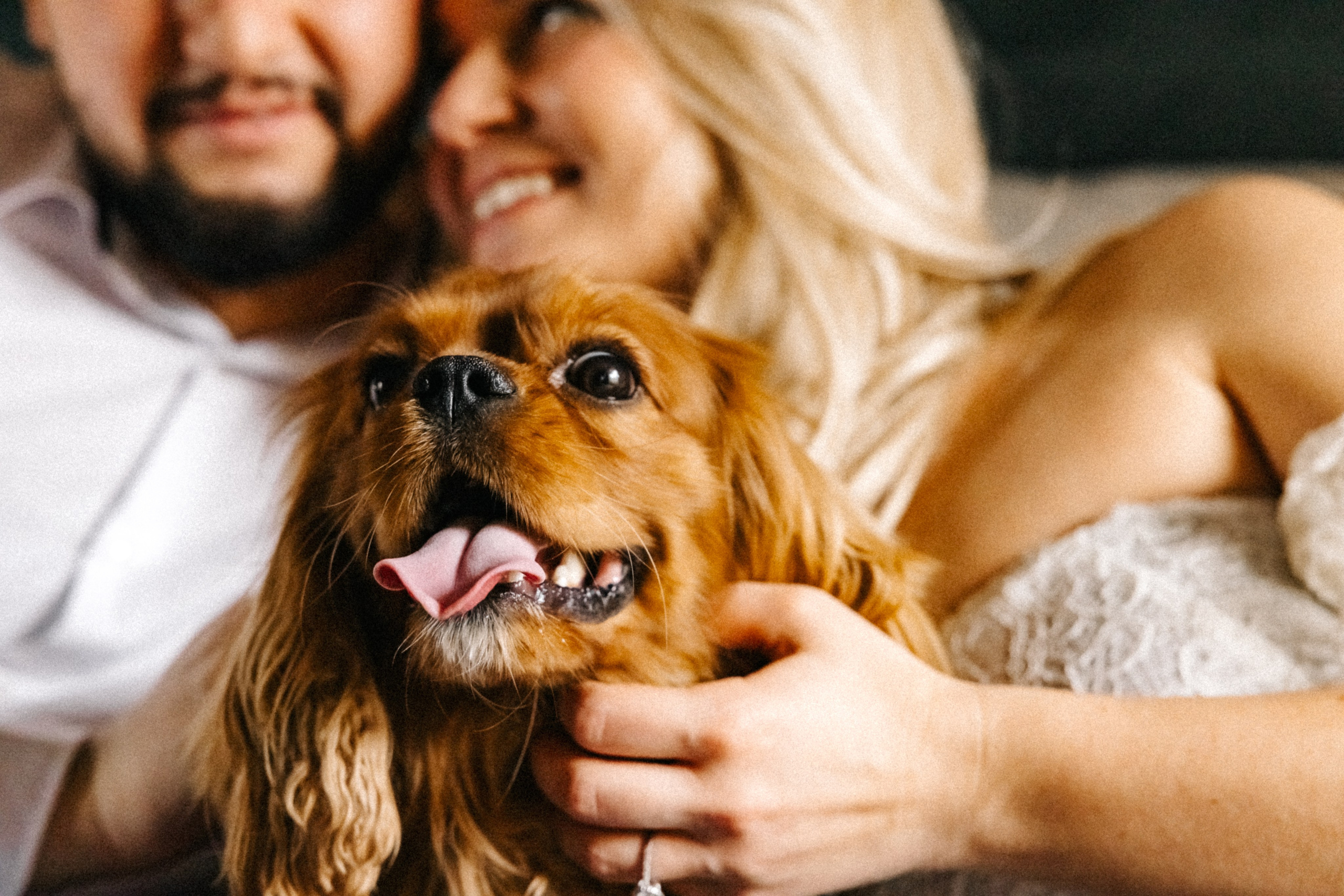 Годеж. Фотограф Ирина Йотова