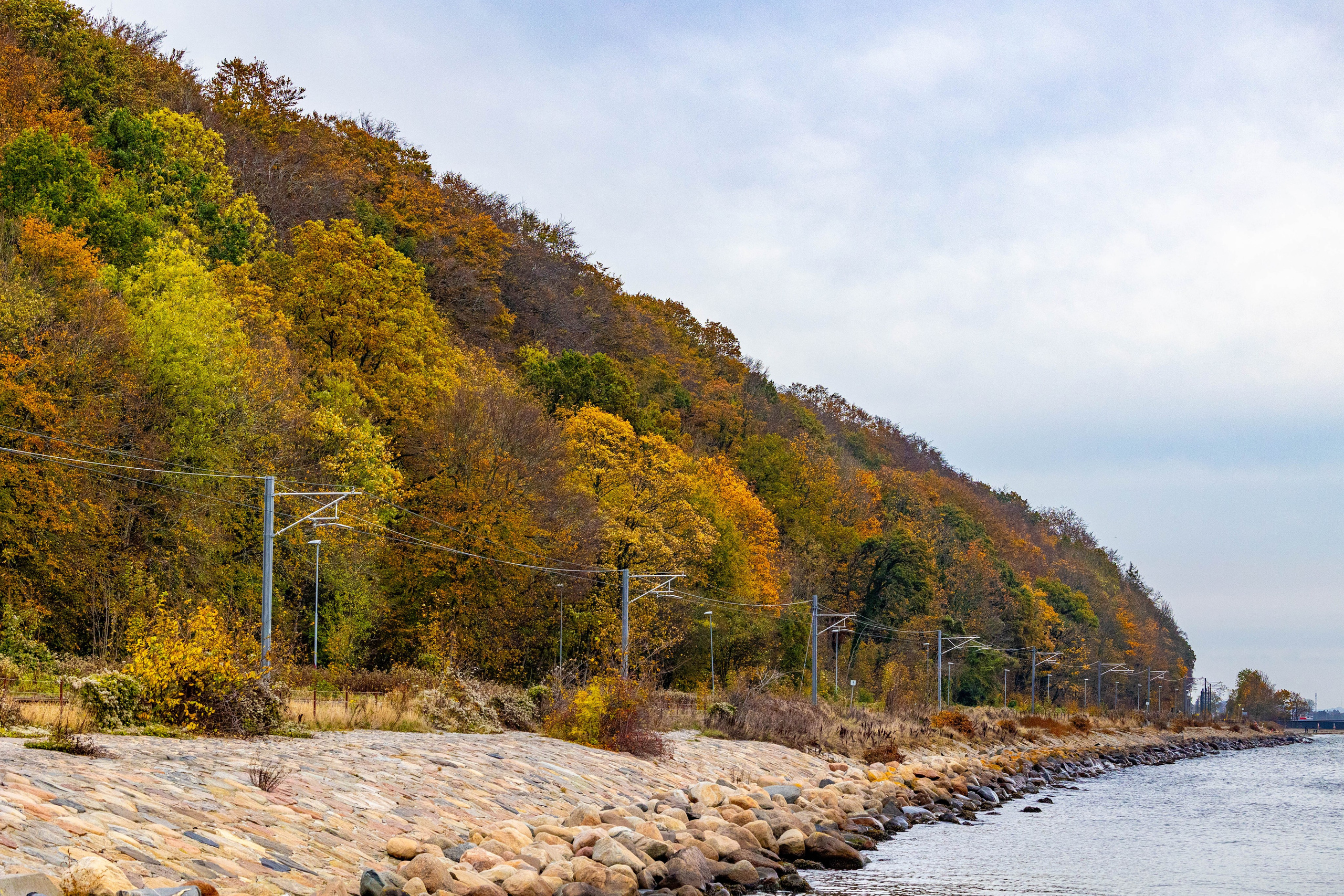 Efterår. Fotograf Aarhus | Portrætfoto Århus | Flotte billeder