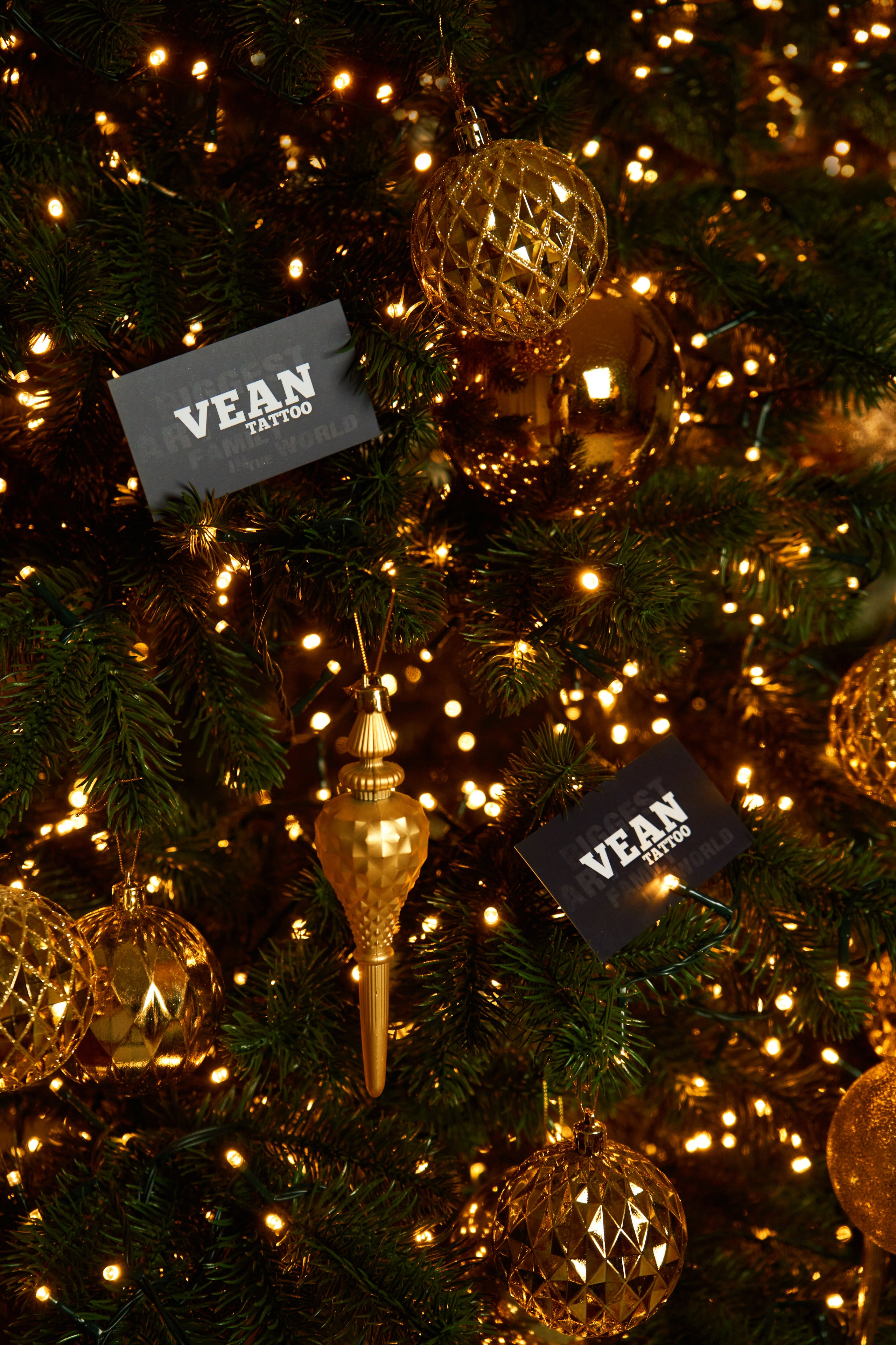 Новорічна зйомка для Vean Tattoo. Фотограф | Відеооператор Нікополь Олег Ісаченко