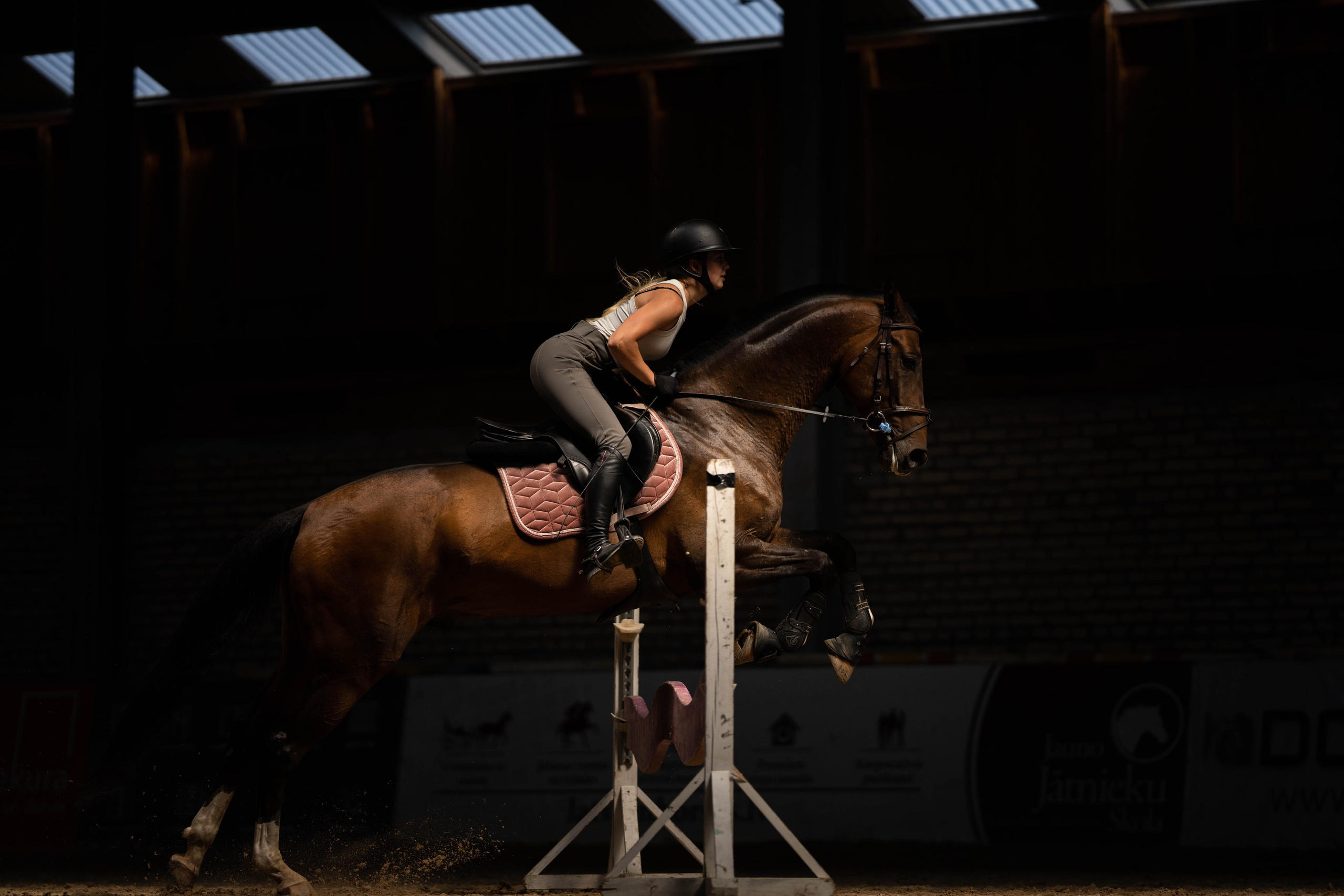 Equestrian sports. Sports and portrait photographer in Riga