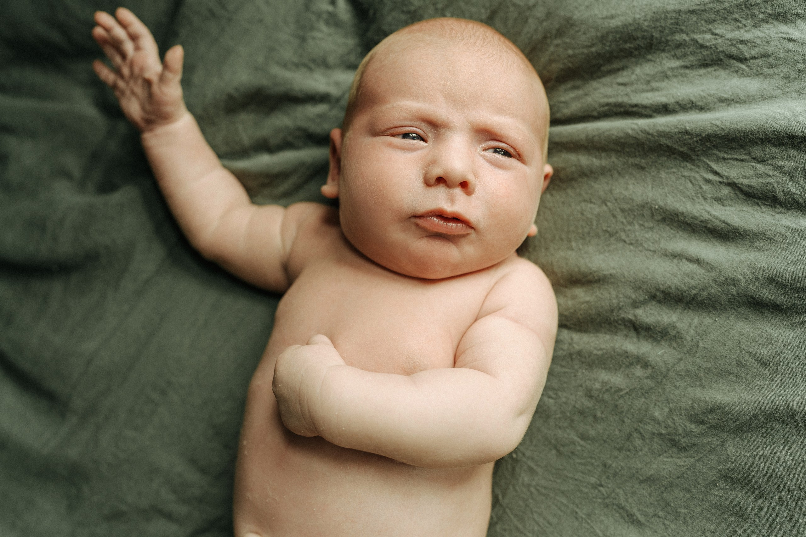 Emily, Kinsley, Kyle, Jace. Alisa Tant — Family and newborn photographer Bucks County, Montgomery county, Philadelphia, NJ