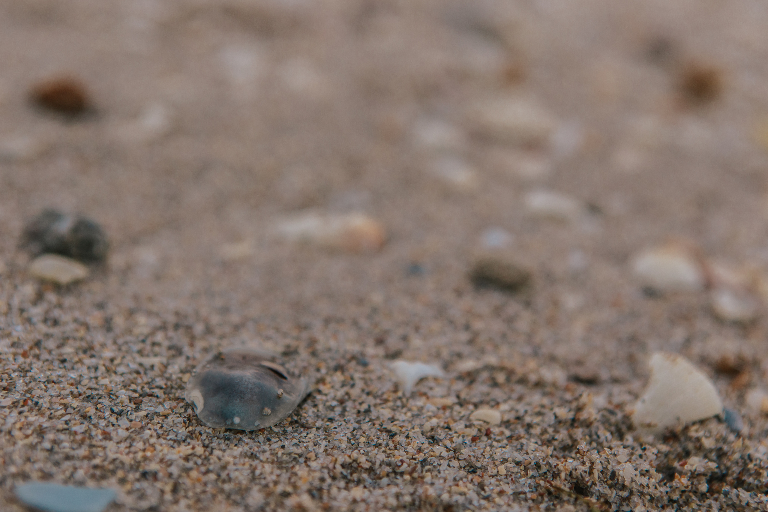 Love. My name is Kate and I am family and wedding photographer