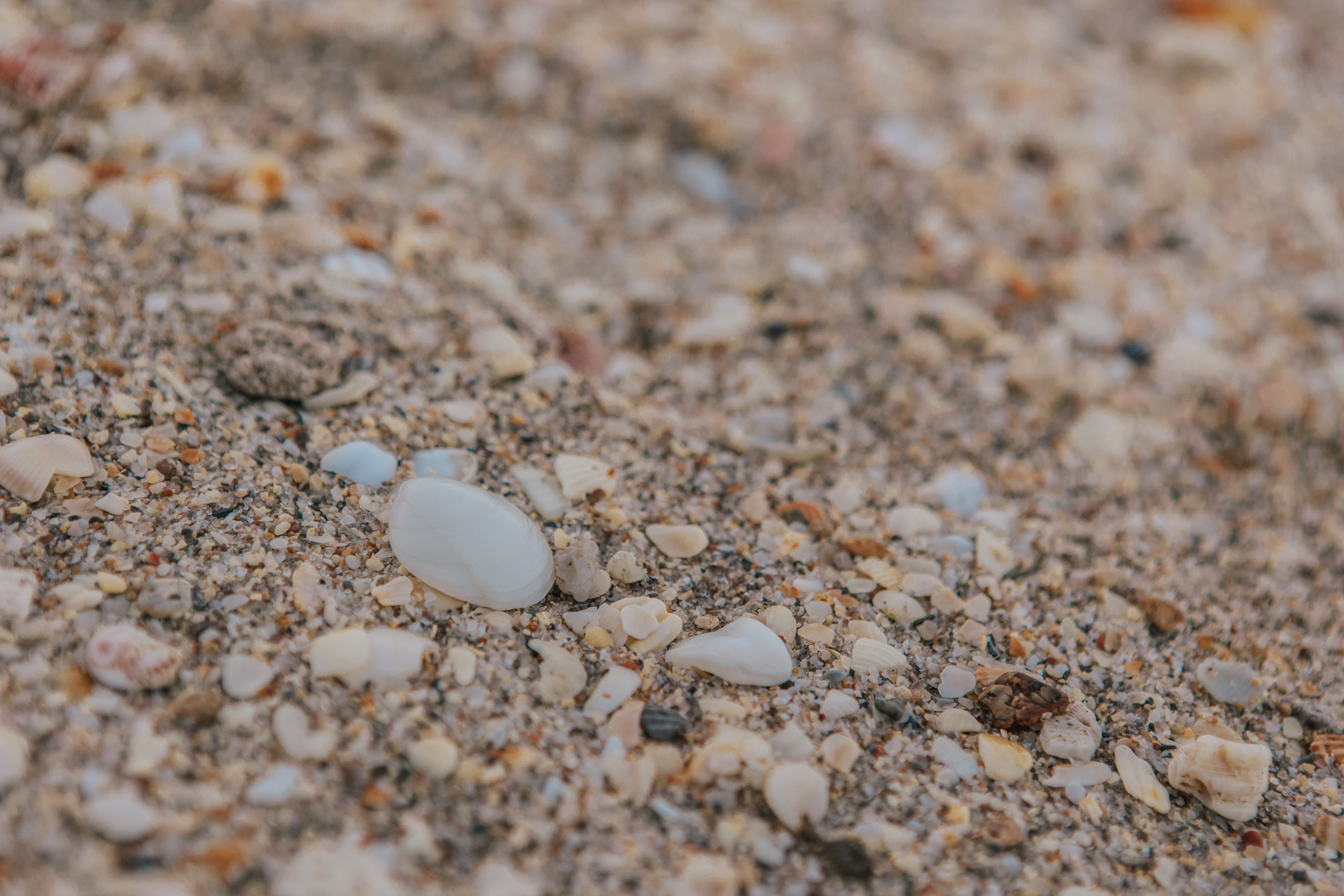 Love. My name is Kate and I am family and wedding photographer