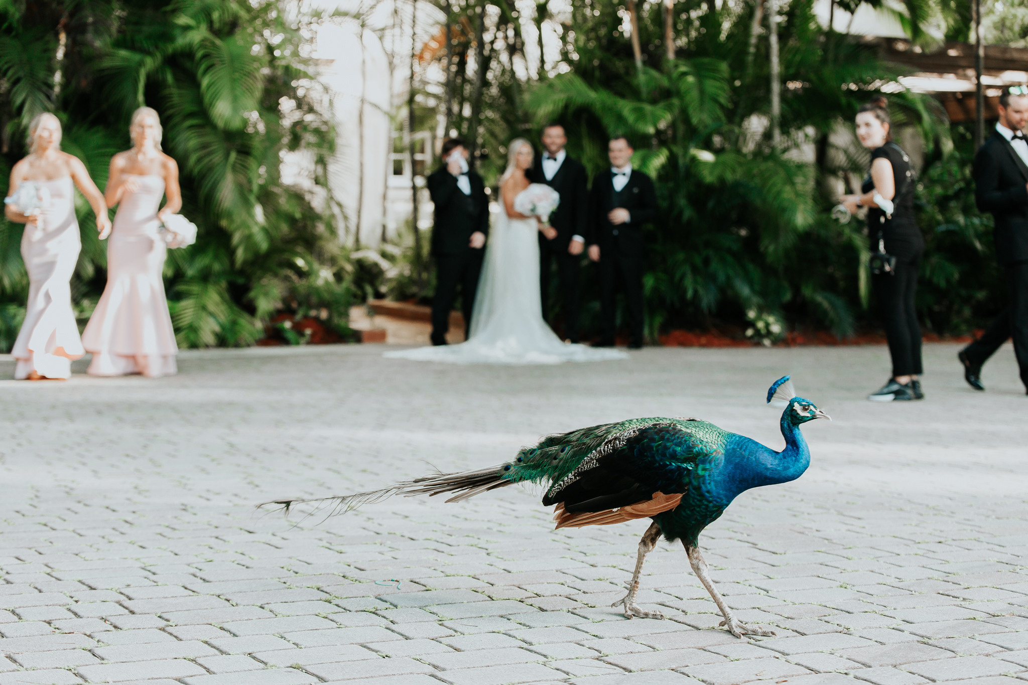 Beautiful wedding in Villa Woodbine. My name is Kate and I am family and wedding photographer