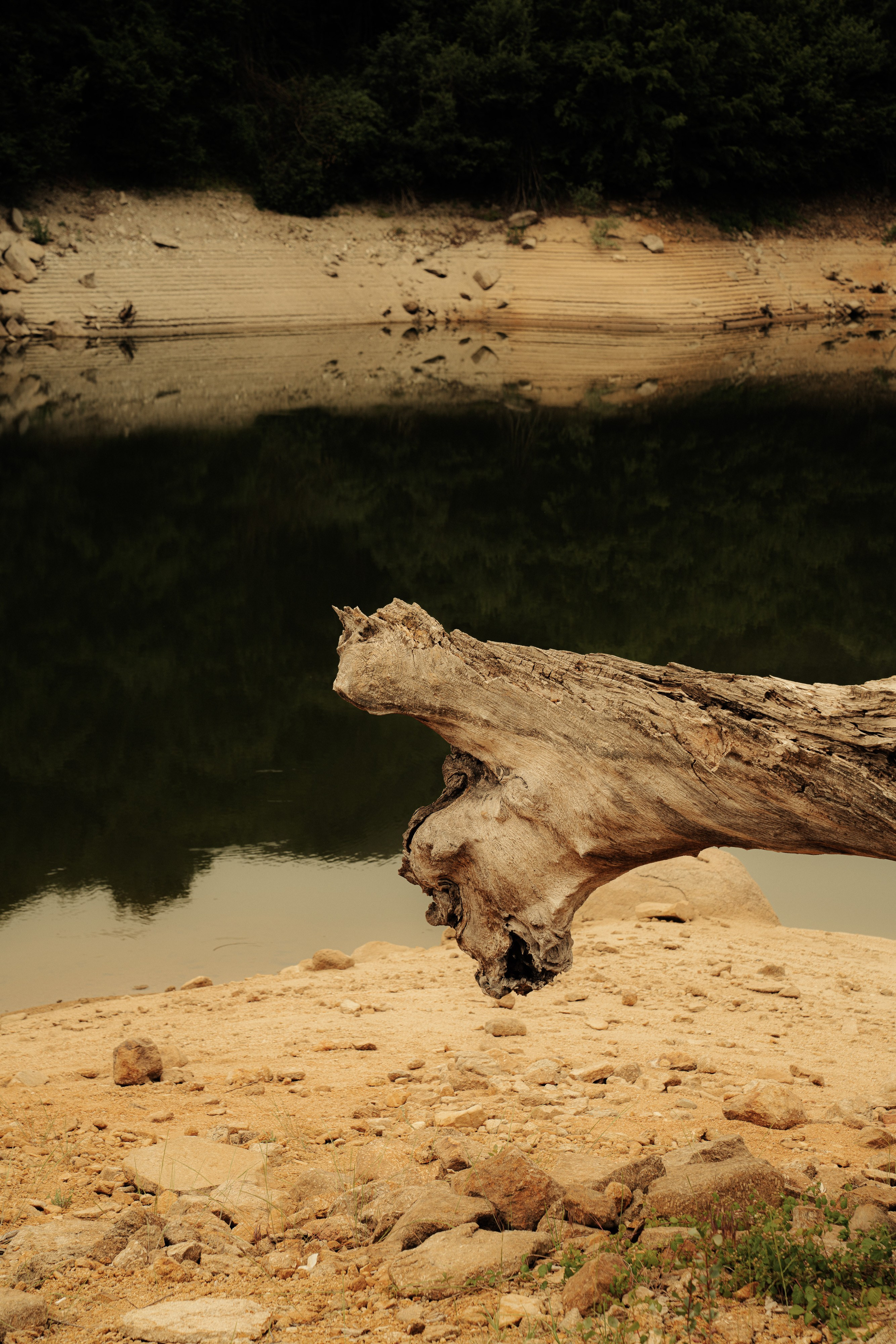 Estates Costa Lazaridi