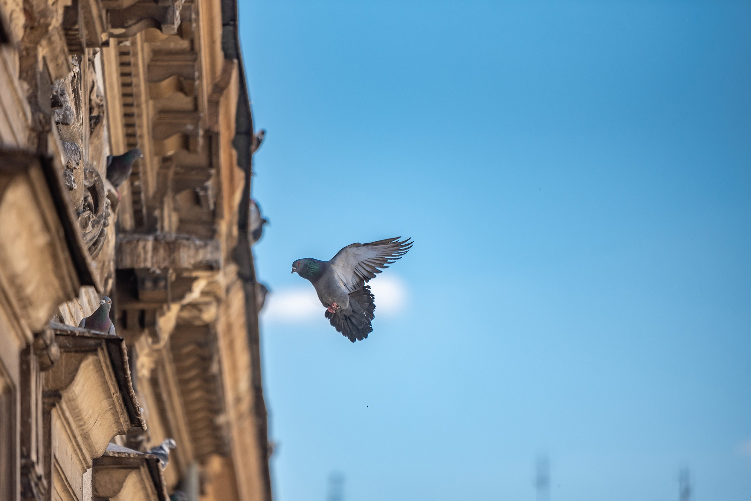 Lublin. Photographer in Yerevan