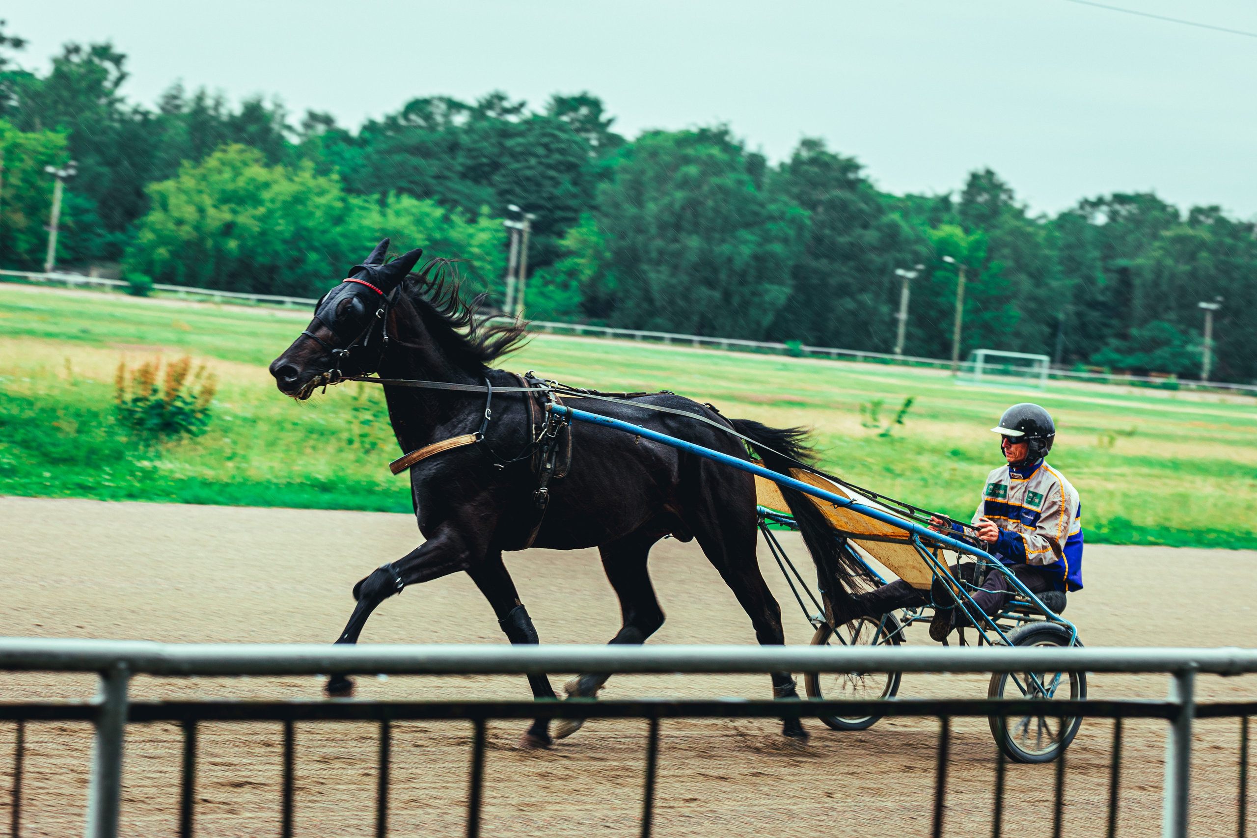 Tallinna Hipodroom. Свадебный видеограф I Свадебный фотограф I Свадебное видео I Свадебное фото в Эстонии