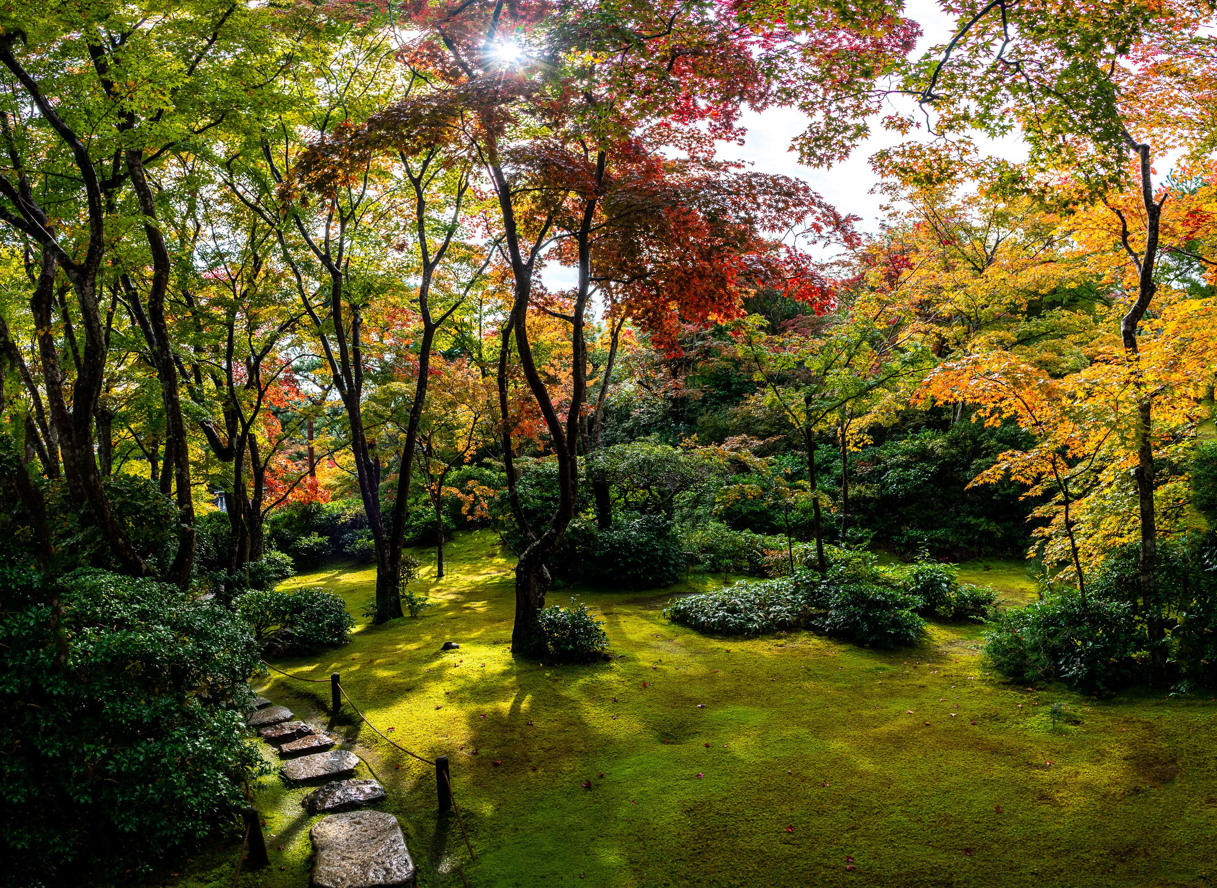 Japan. Marius Ciocan