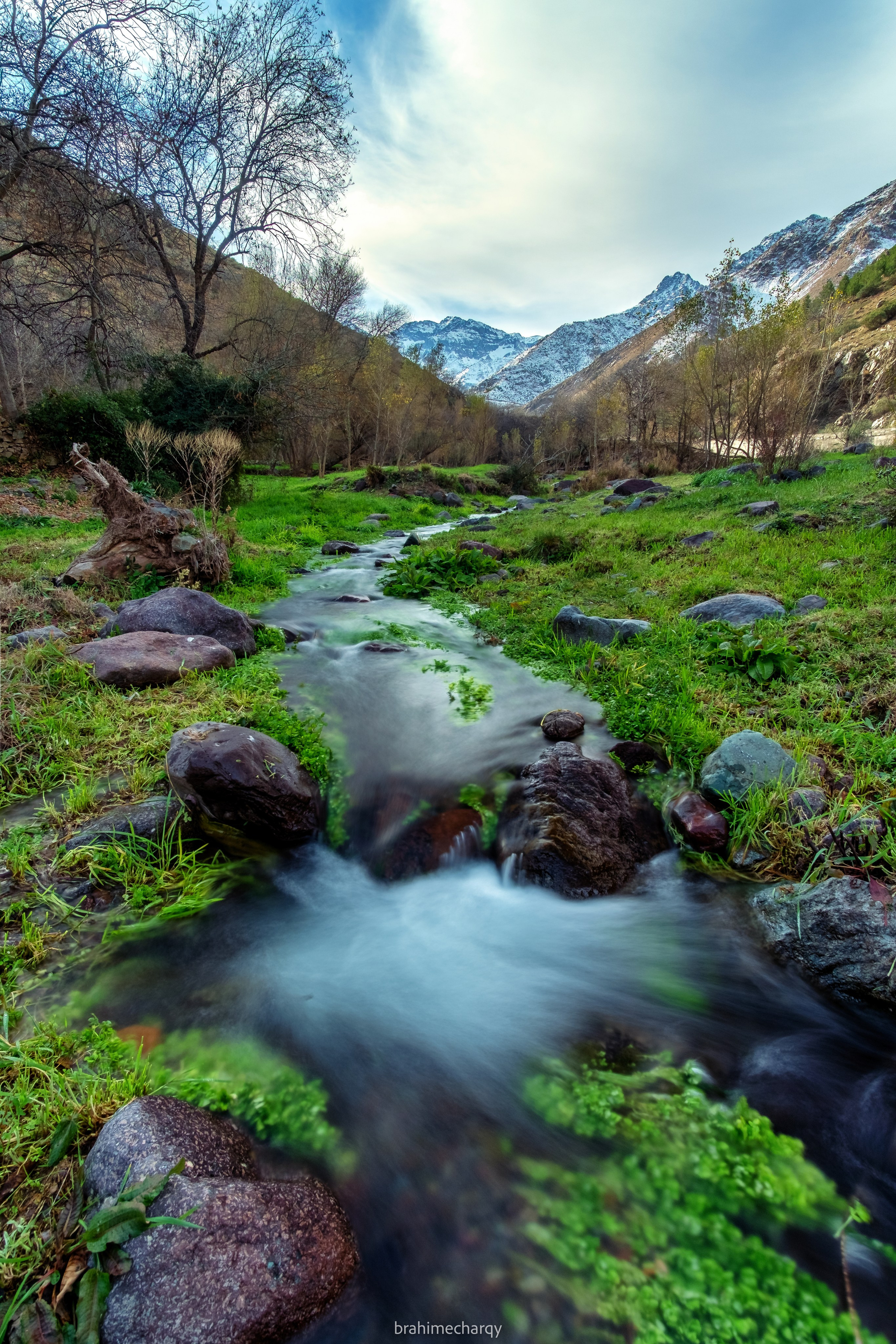 Фото. Брахим — фотограф