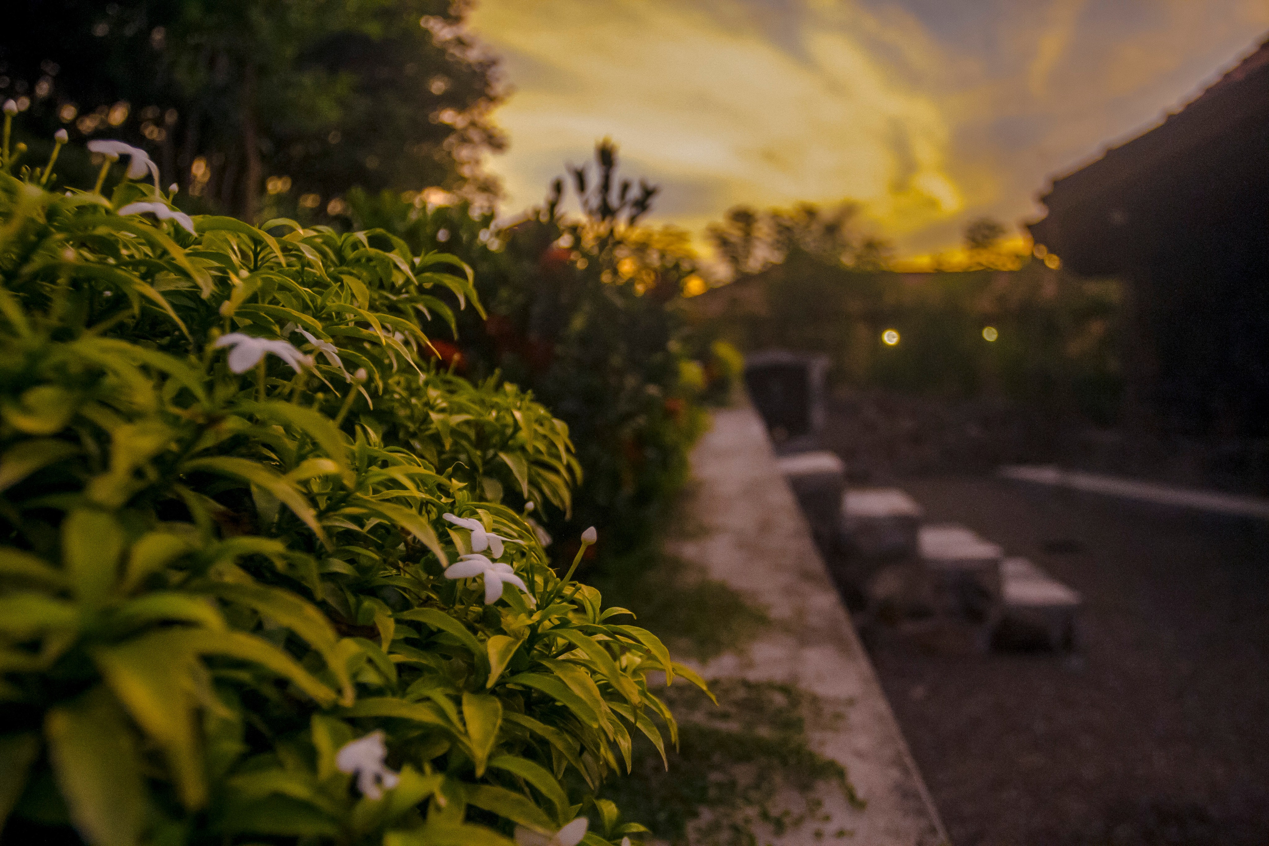 Sri Lanka. Art Photographer