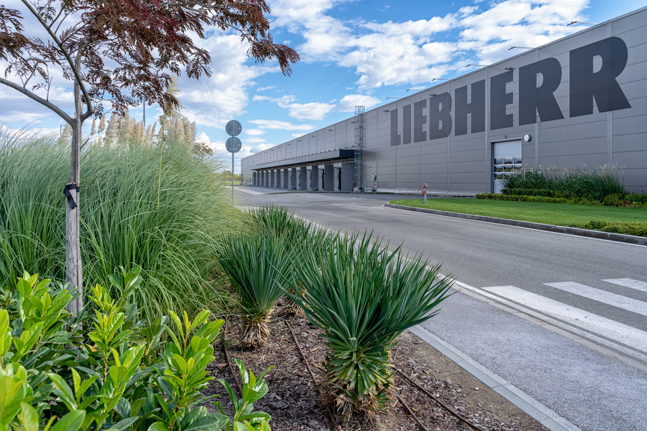Колоездене. Професионален фотограф в Пловдив и областта