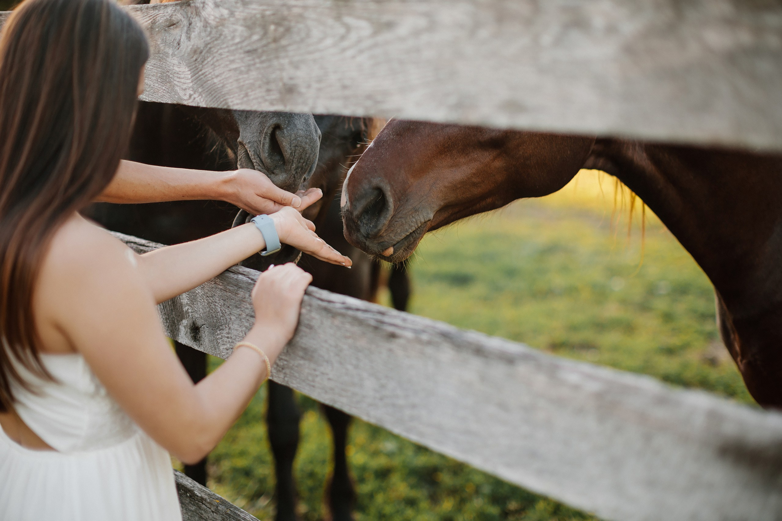 30.05.24 Family Photoshoot. Wedding family event photographer in Chicago Nick Yushevich