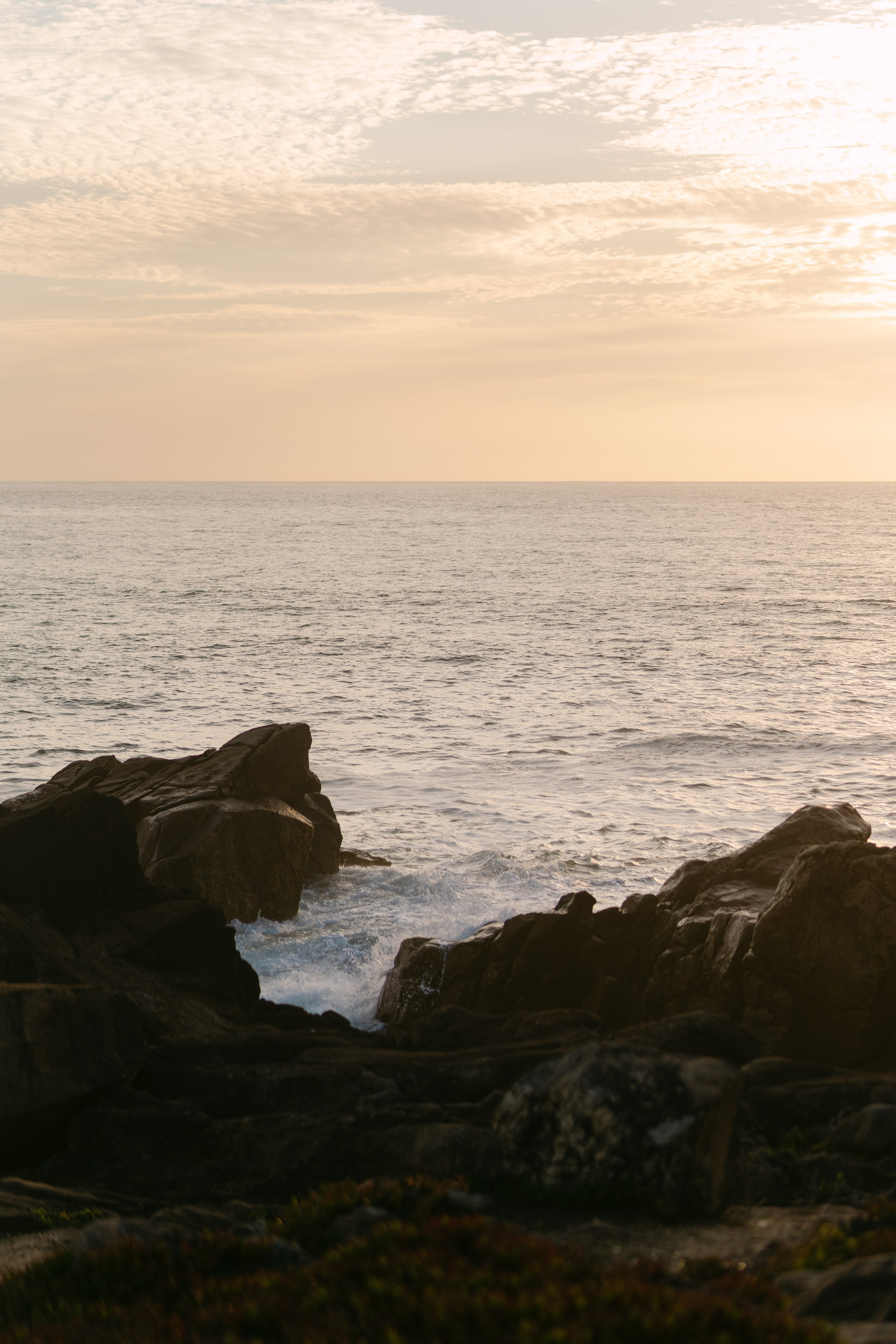 Wedding Proposal at the Beach. Davi Valente