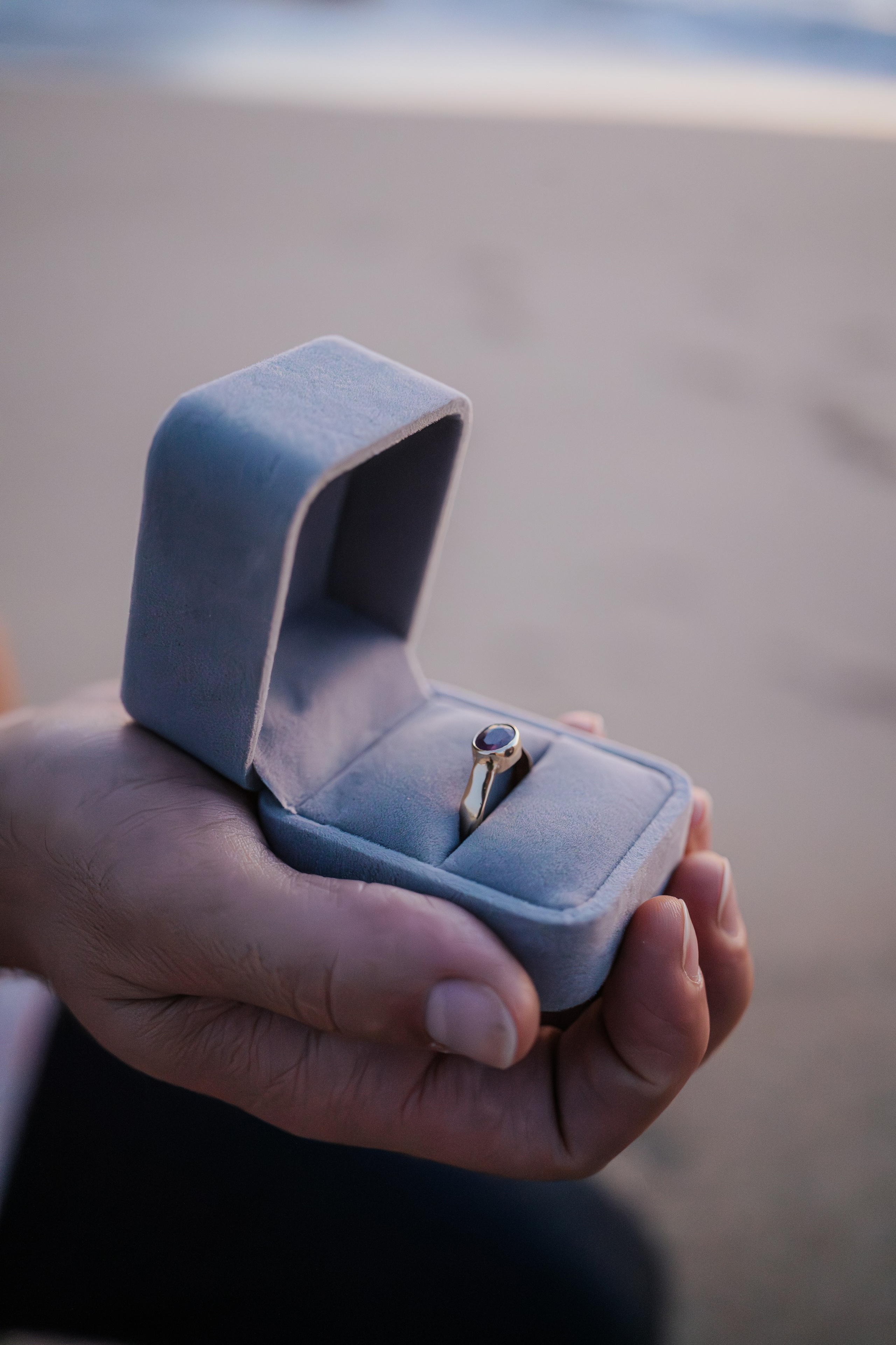 Wedding Proposal Spiro. Davi Valente