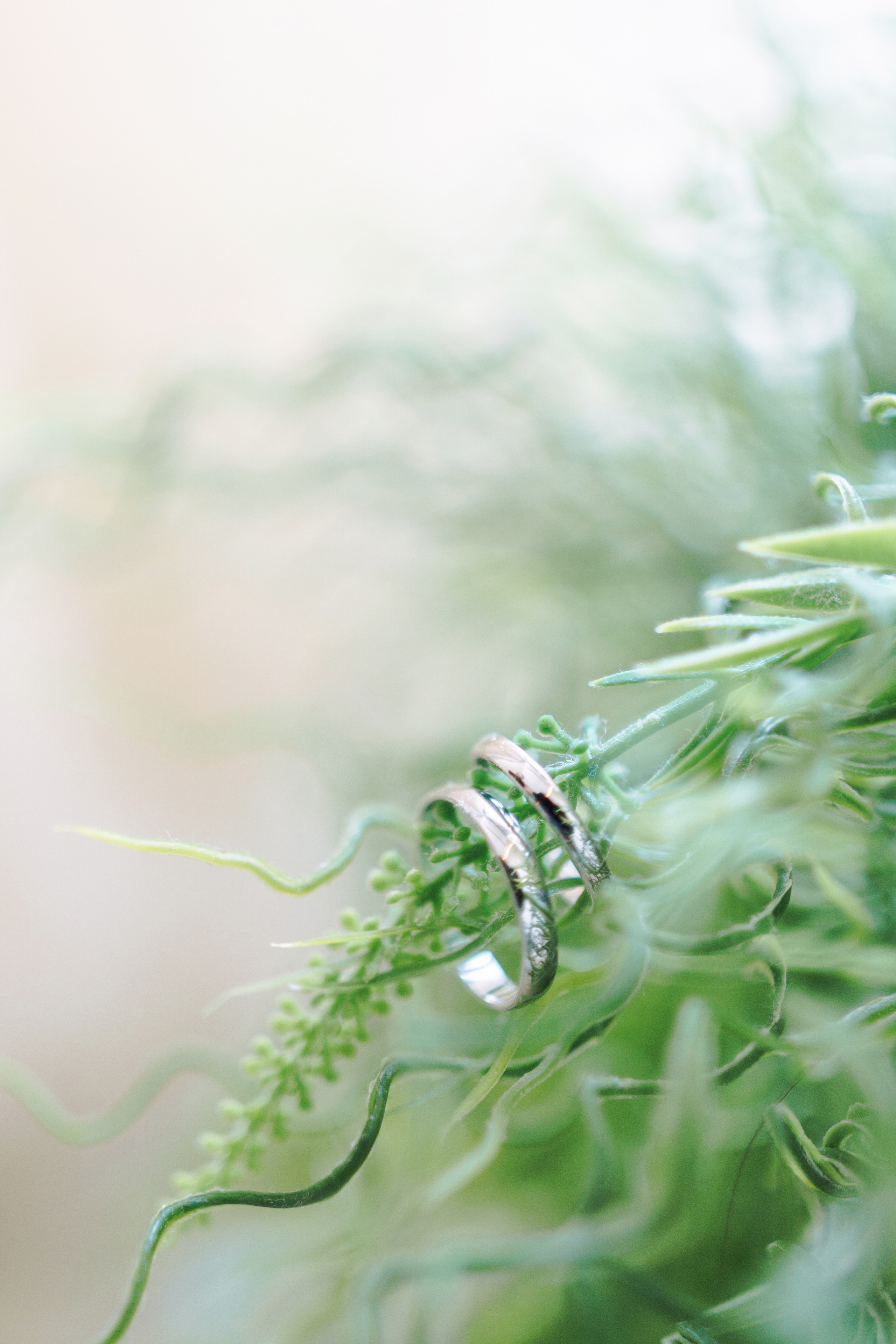 Wedding in Haifa, Nikolay & Ortal. Porto Travel Photographer | Couples & Vacation Photos in Portugal — WePortugal