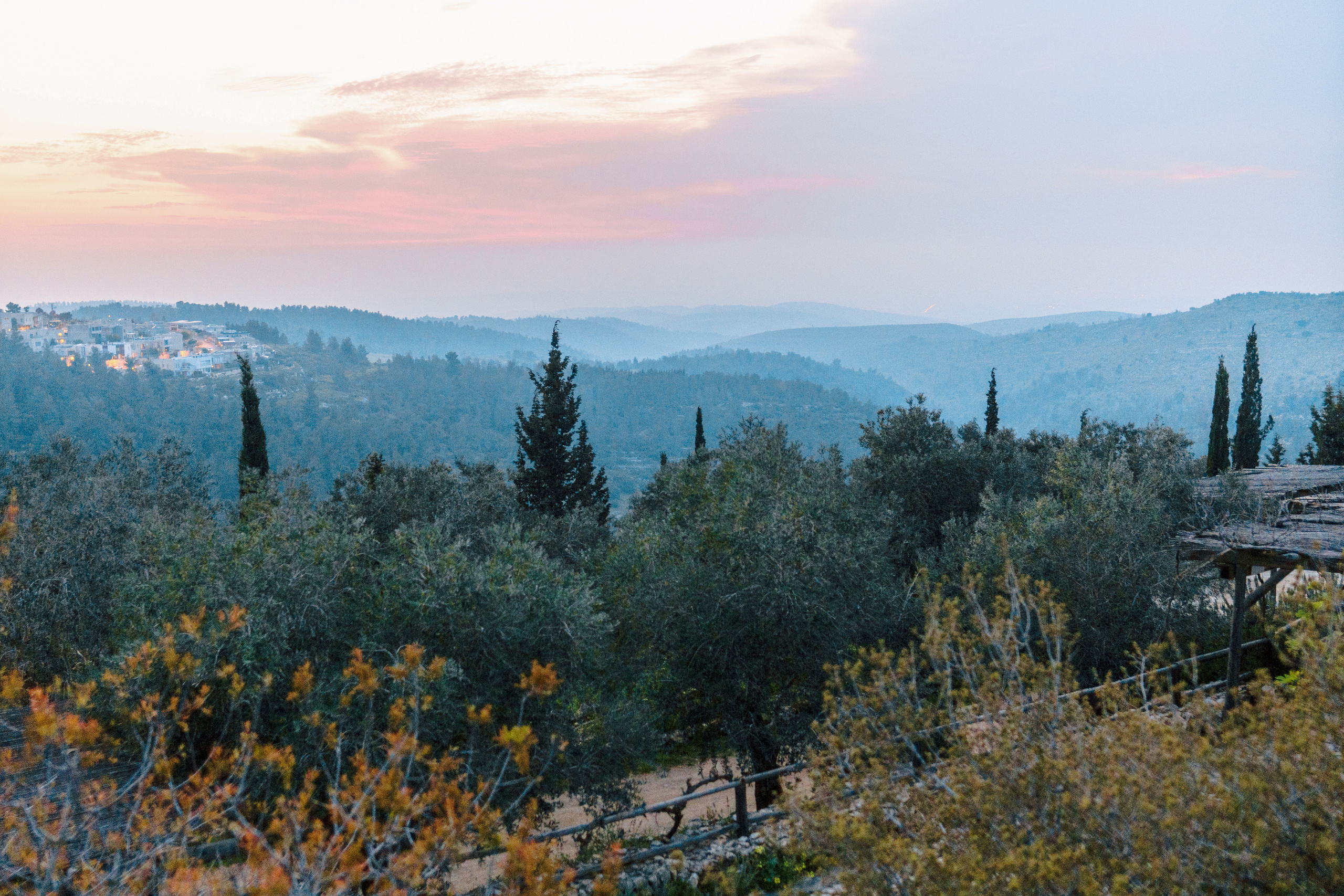 Tender wedding in Jerusalem, Paul & Alisa. Porto Travel Photographer | Couples & Vacation Photos in Portugal — WePortugal