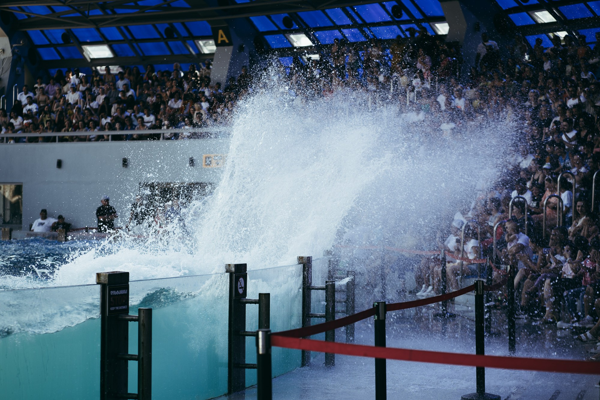 200 kilohertz. Stanislava Novgorodtseva — Photographer | Visual Artist | Educator