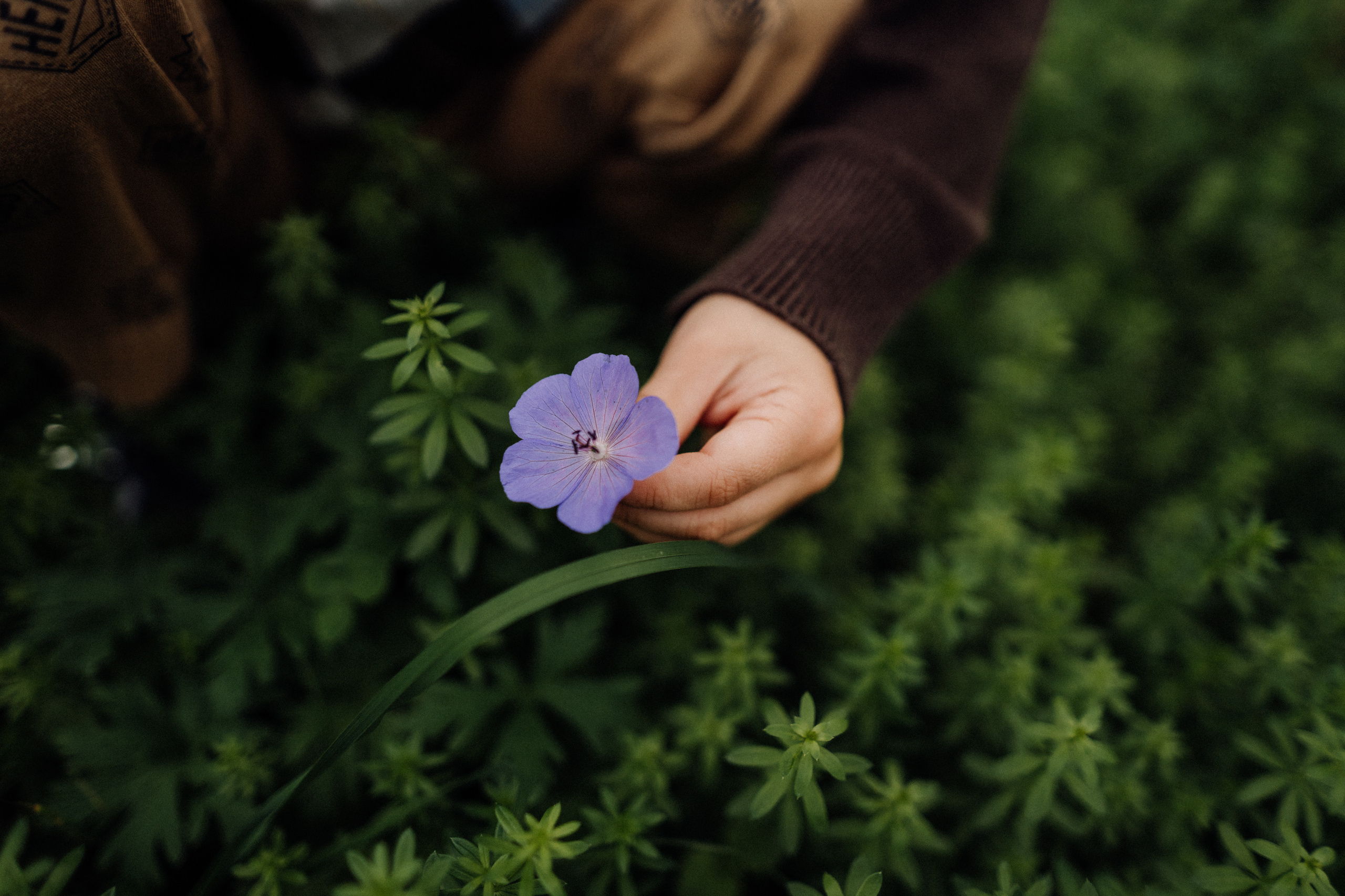 . Фотограф в Праге Анна Лебедева