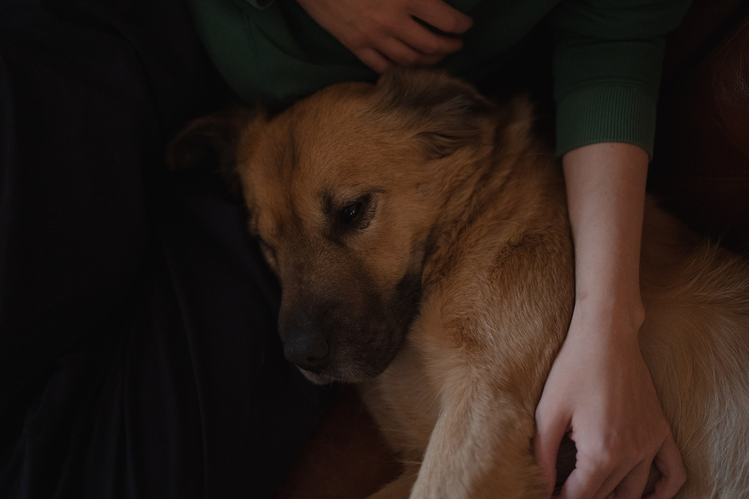 Alena, Vlad and their son Lev. Main