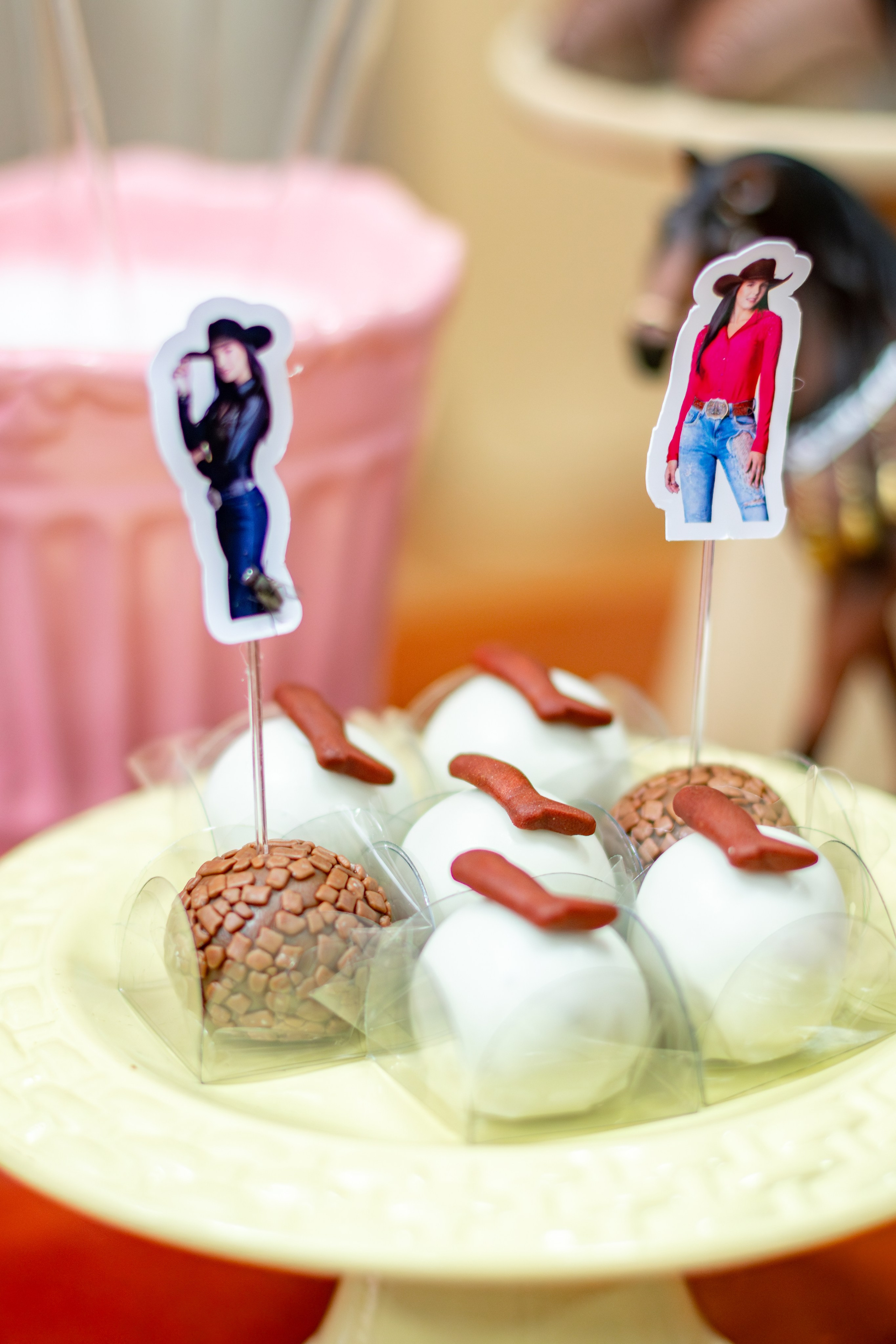 Stella — Aniversário 5 anos. Principal