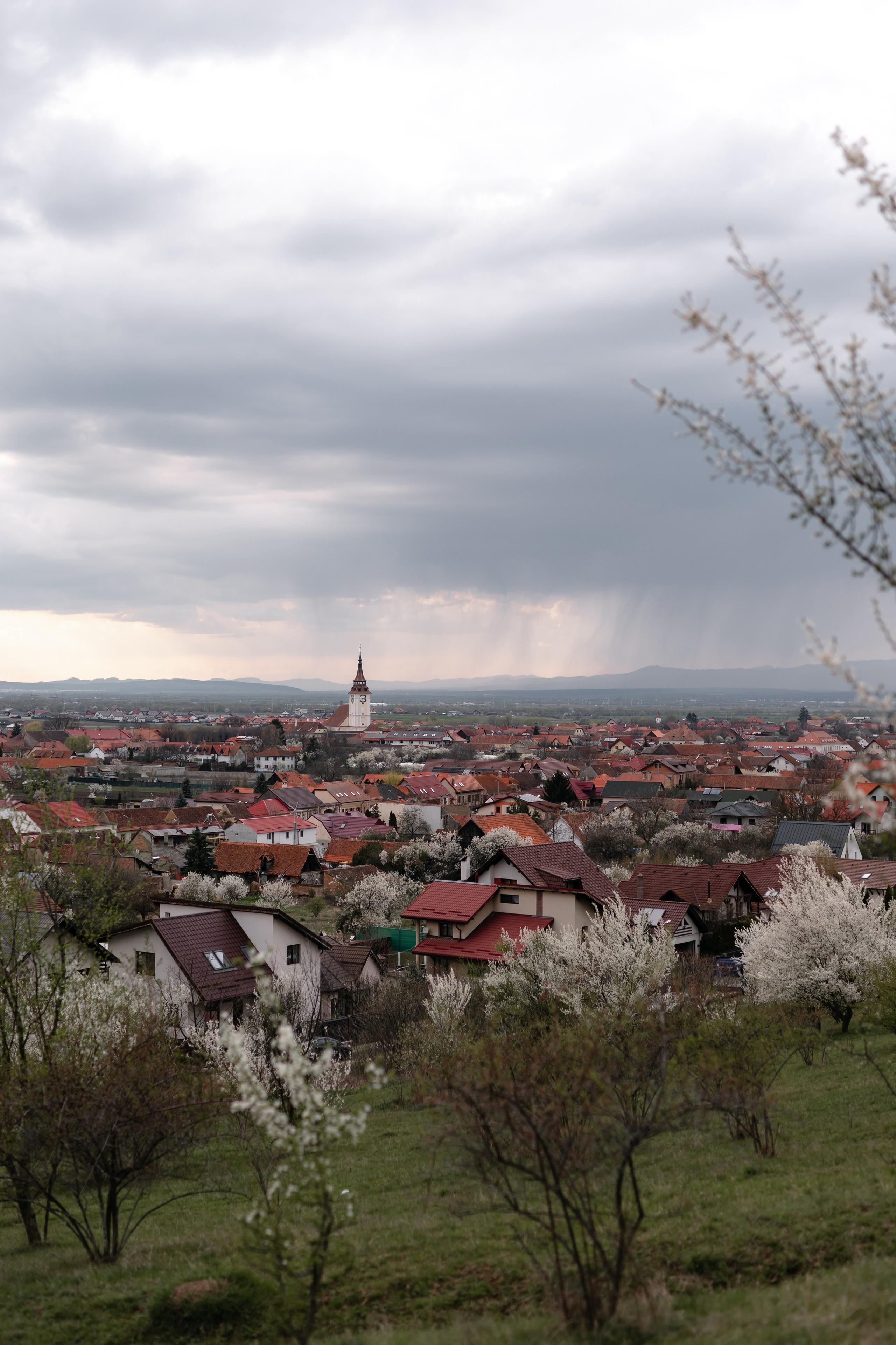 Casiana & Victor. Main