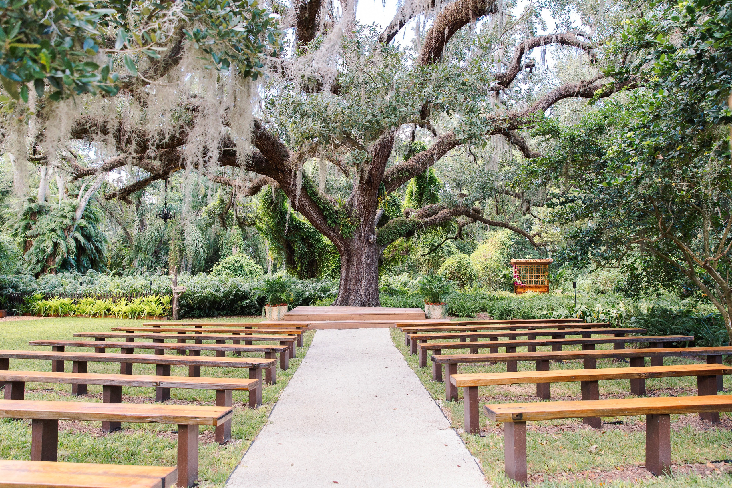 Ashley&Emanuel. Wedding photographer in Florida