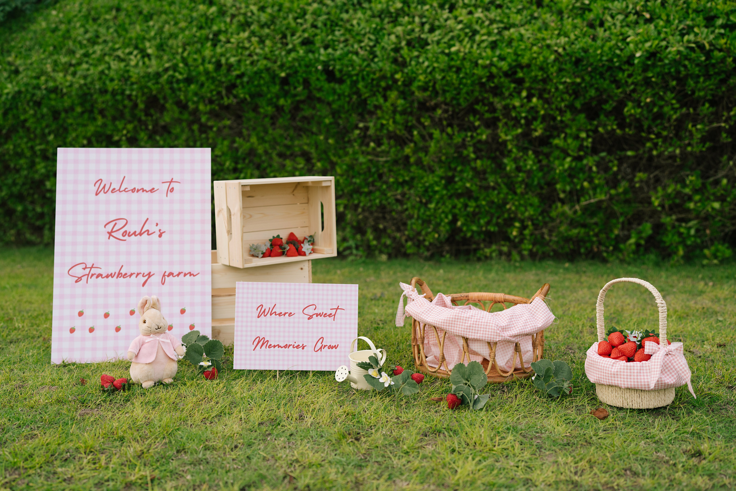 SITTER PHOTOGRAPHY. Newborn, Sitter and Cake Smash Photographer in Doha, Qatar