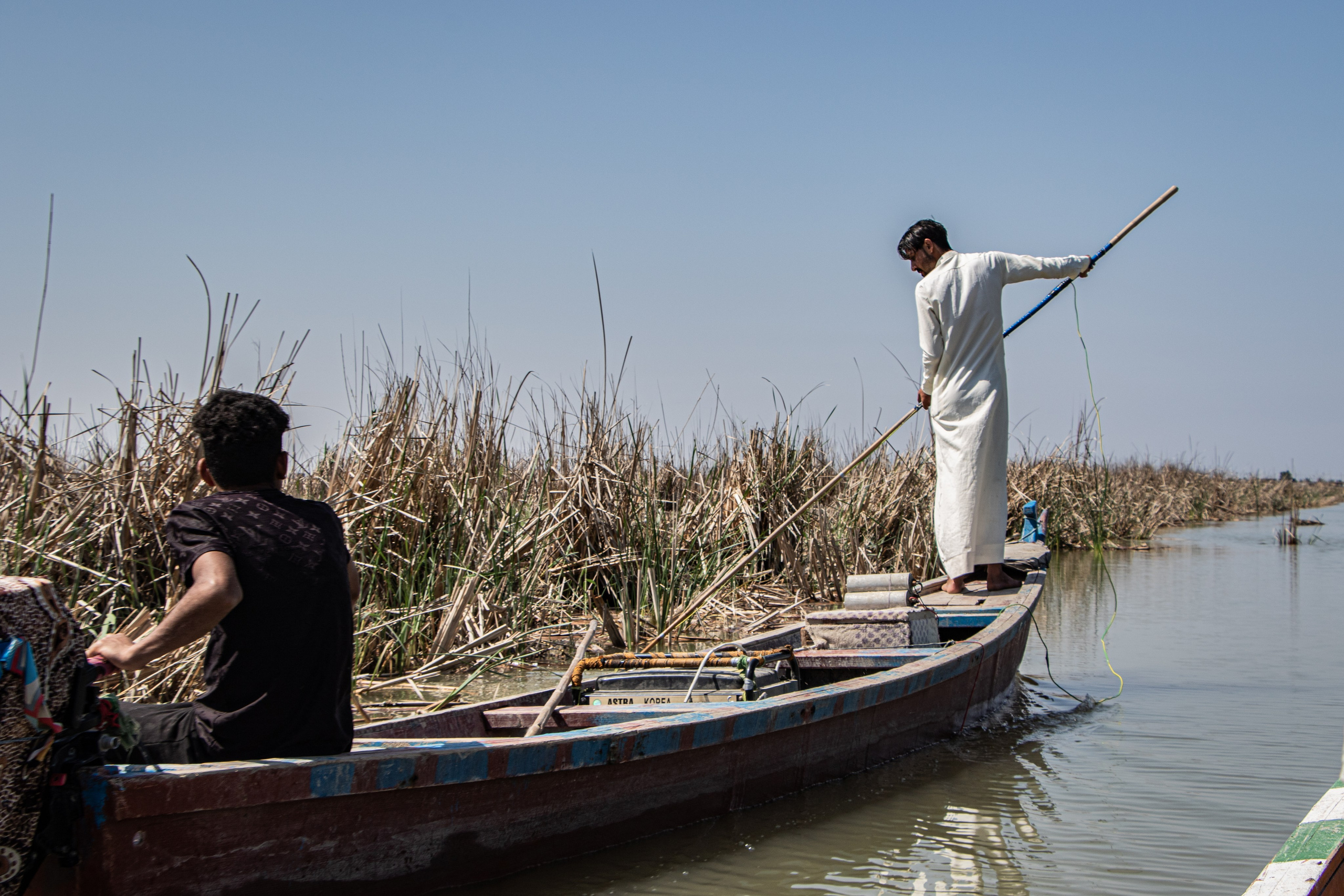 Dans les marais de Mésopotamie, un homme pousse sa pirogue à l’aide d’une grande tige pour naviguer à travers les eaux stagnantes, une méthode traditionnelle de déplacement dans cet écosystème unique.