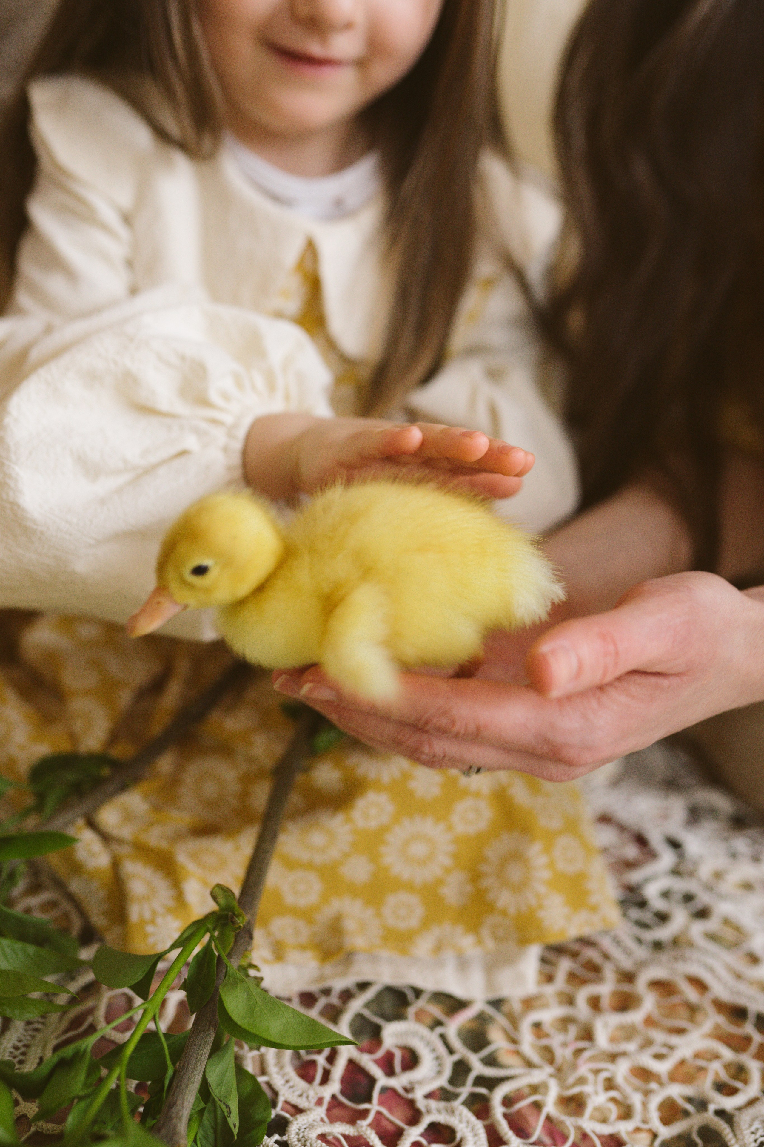 Ședințe Foto de Paște Brașov: Gălbenuș | Mădălina Beda. Madalina Beda- Artist vizual, fotograf, doula la nastere, consultant babywearing Brasov si in toata tara