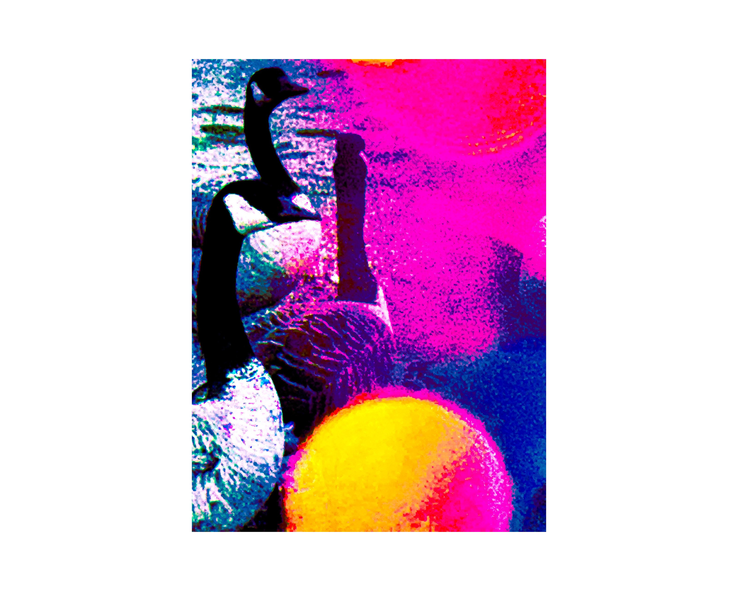 Nature from Exaggerated Worlds. Ekaterina Tsurkina-Appina Photography Canada