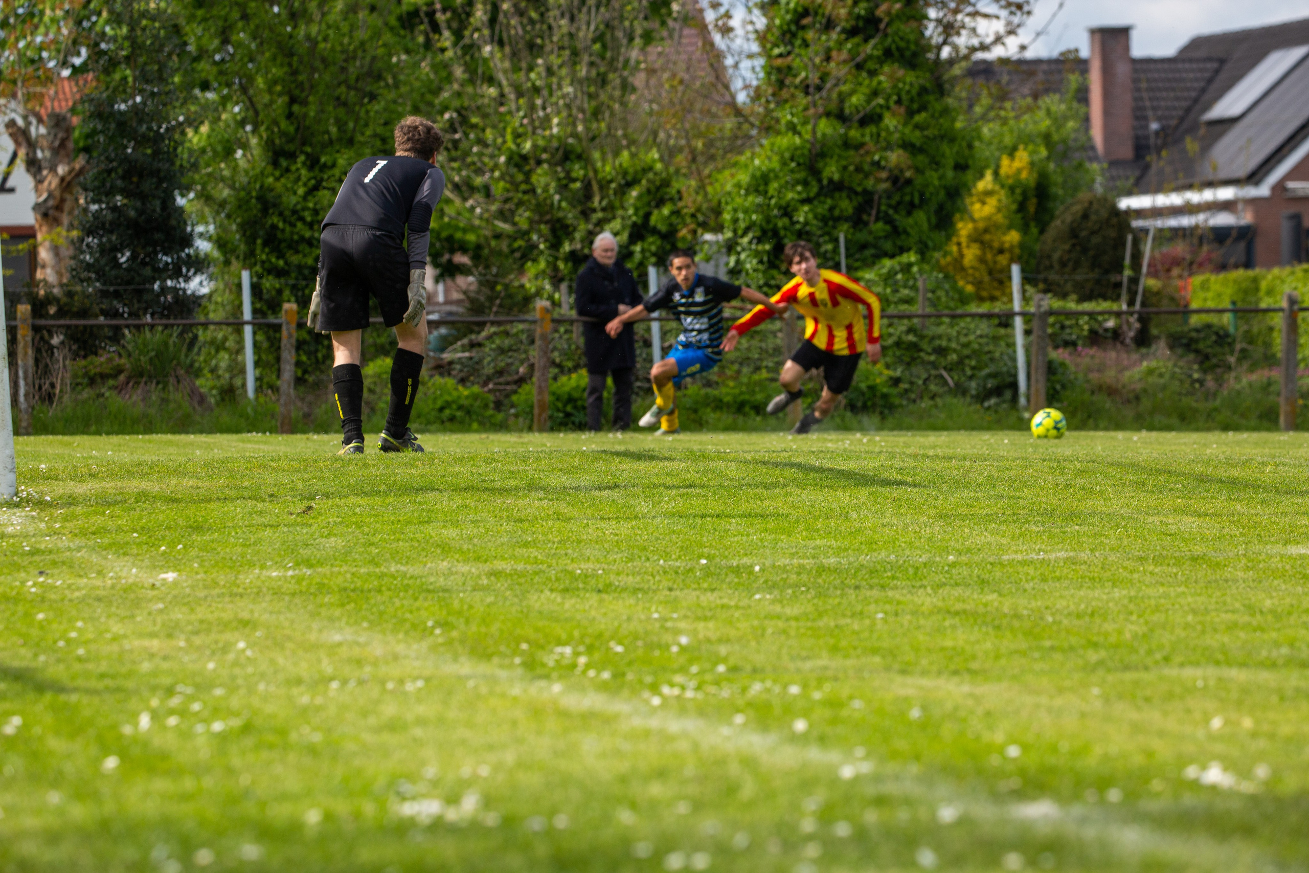 Sports. Family, portrait, and lifestyle photoshoots in Belgium