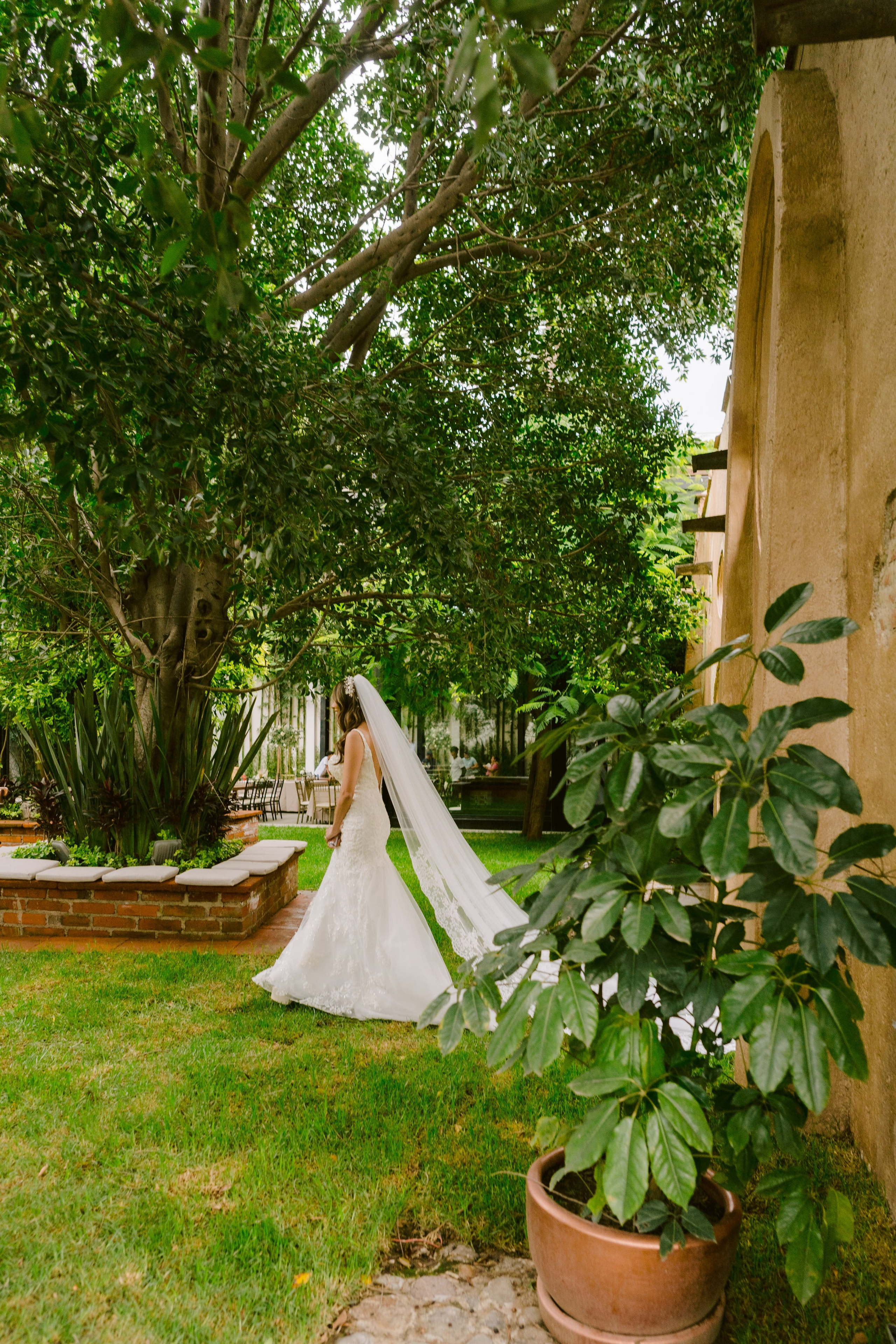 Wedding America y Alex