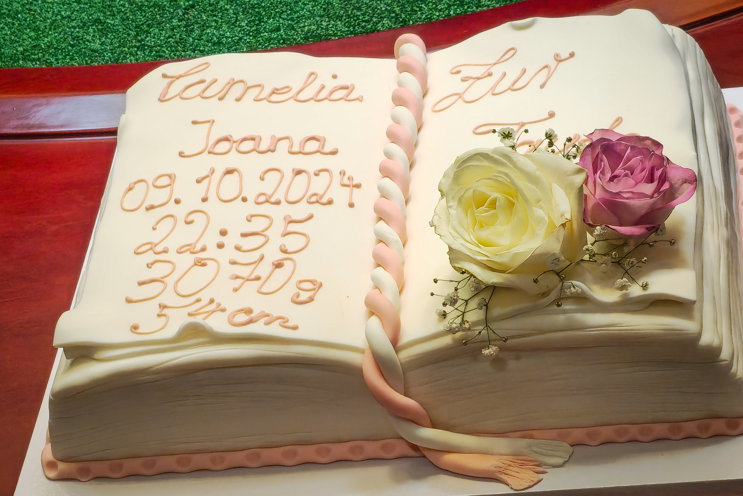 Camelia Ioana 08.02.2025