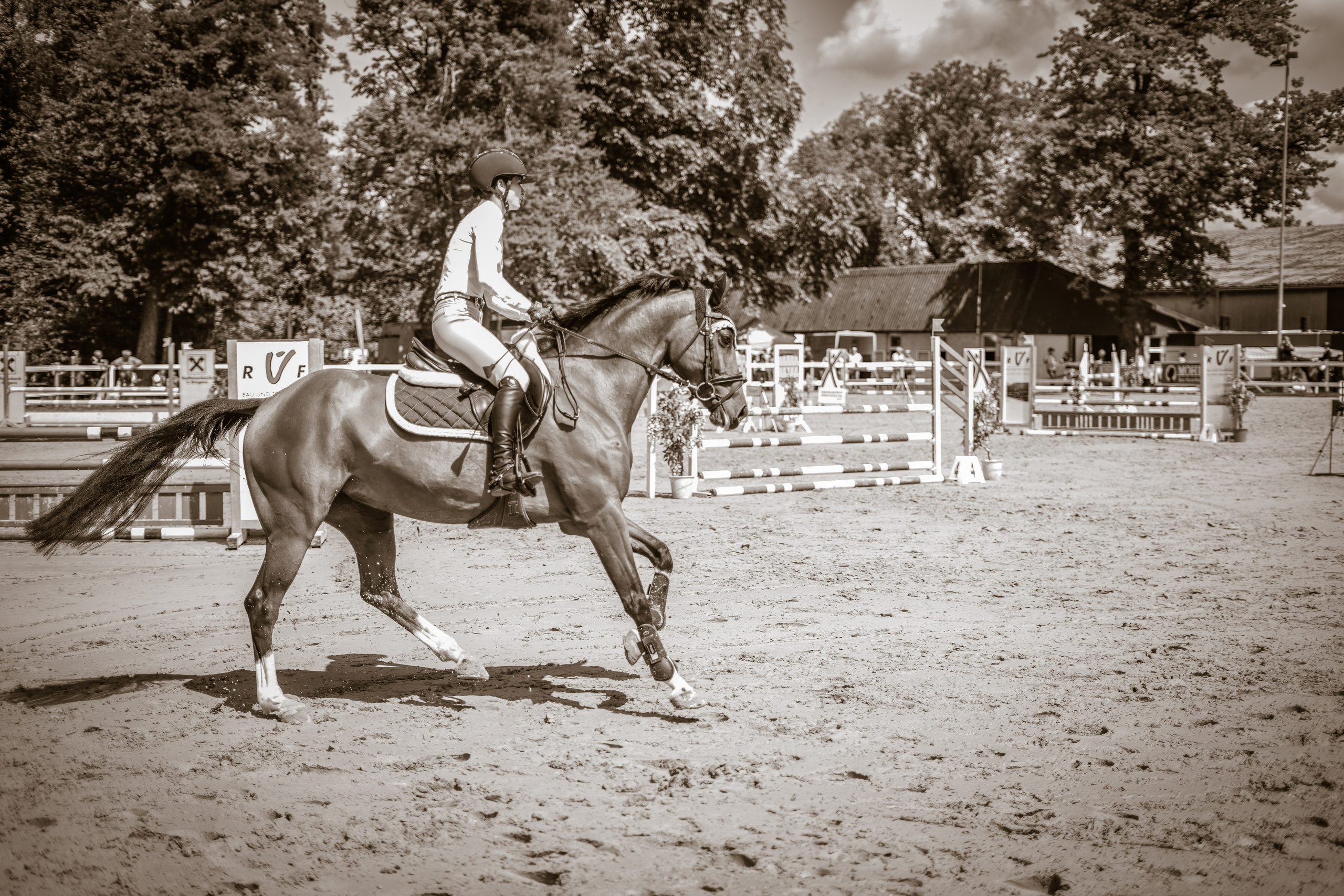 Equestrian Competition