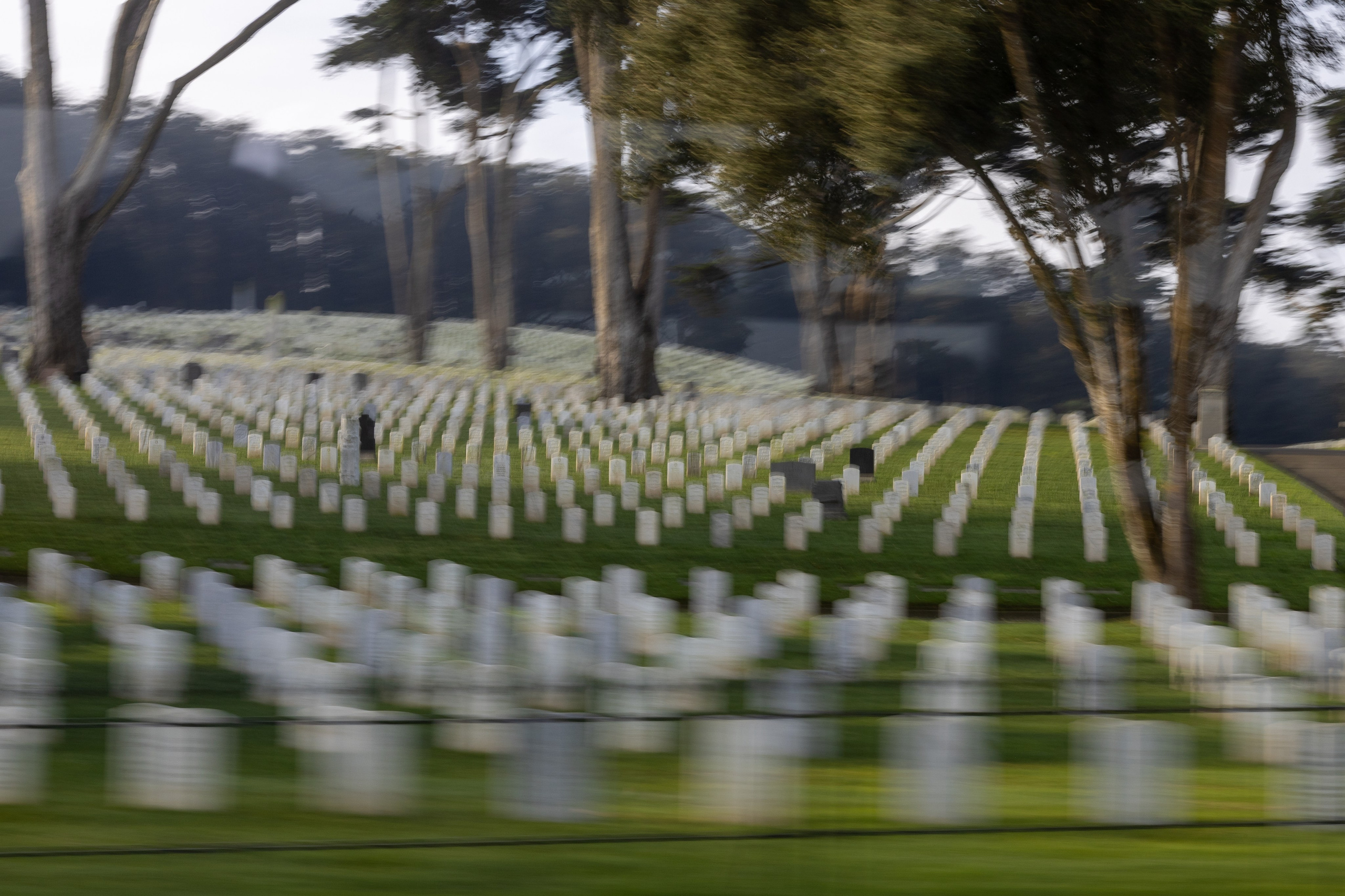 San Francisco. Aleks.photo | Book a photoshoot