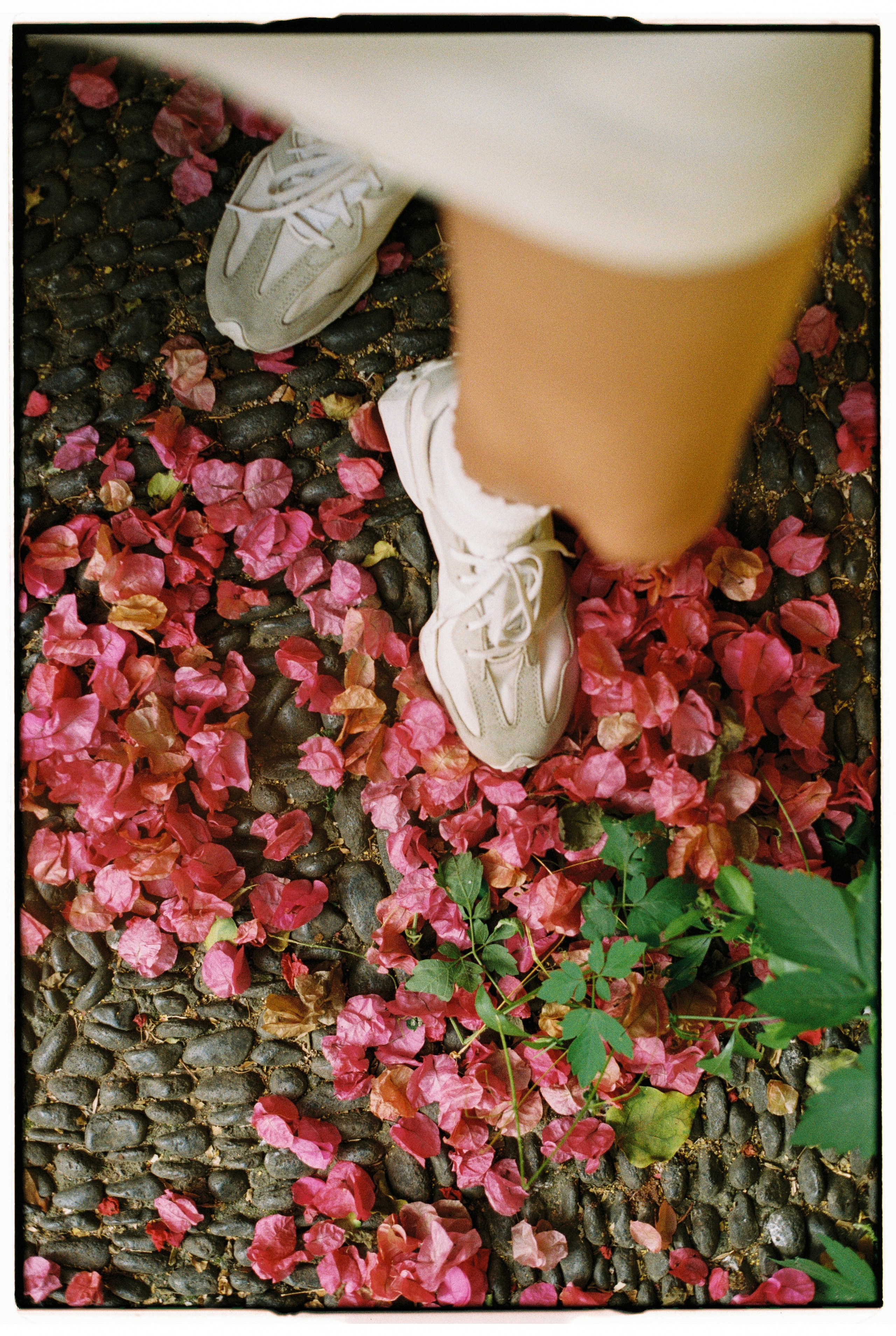 Madeira on film. Portrait photographer in Madeira — Marina Shtukina