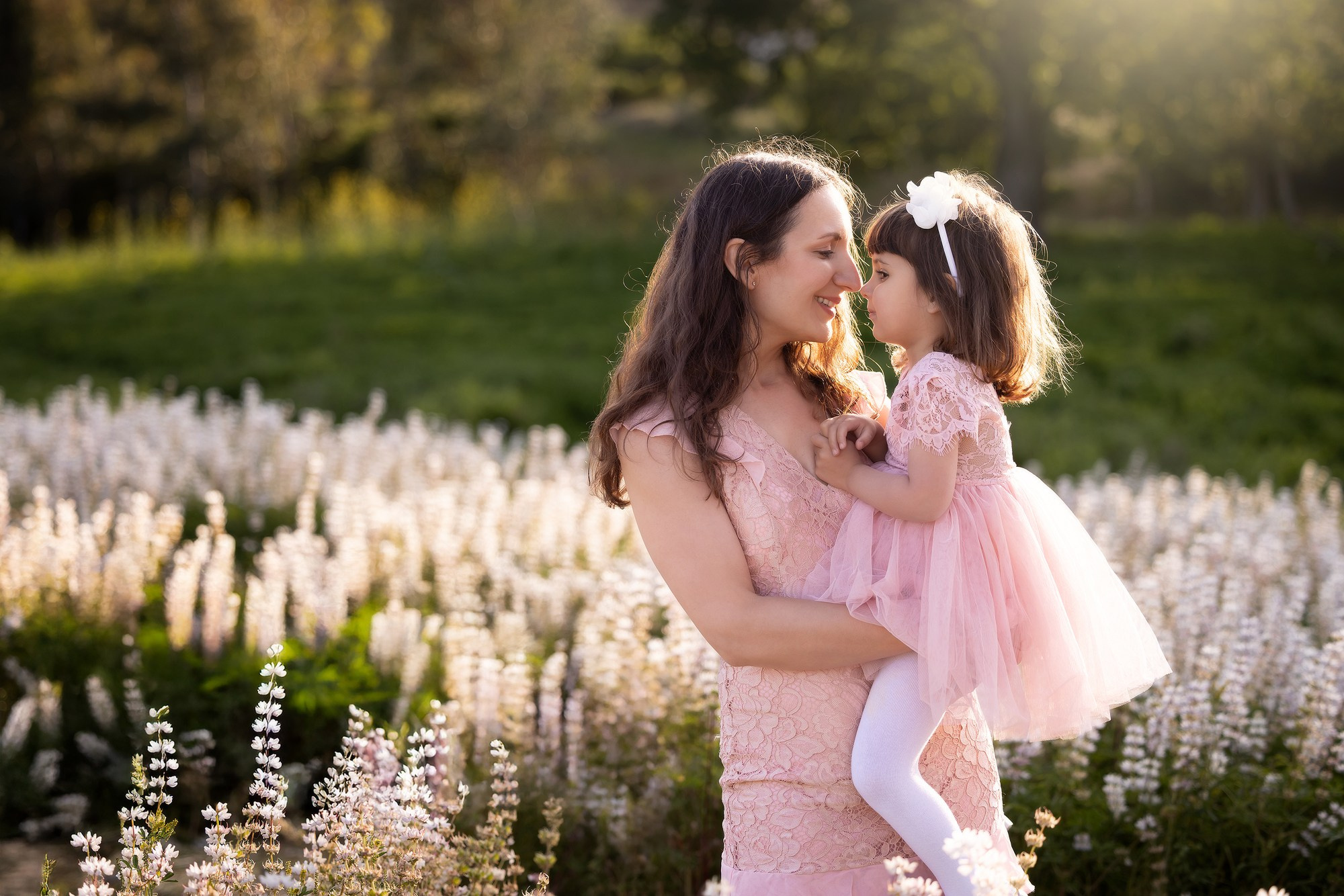 Lupines Story. Photographer is San Jose, Iryna Novosyolova