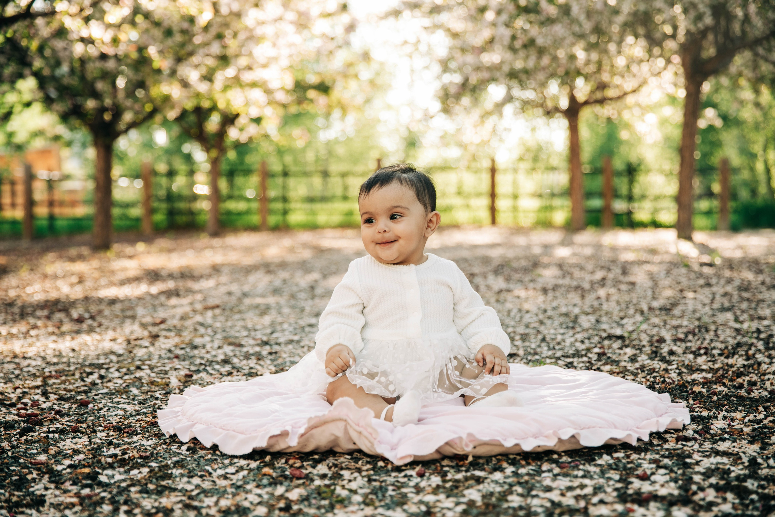 Nabeel Cherry Blossoms. Fotografía accesible en Calgary