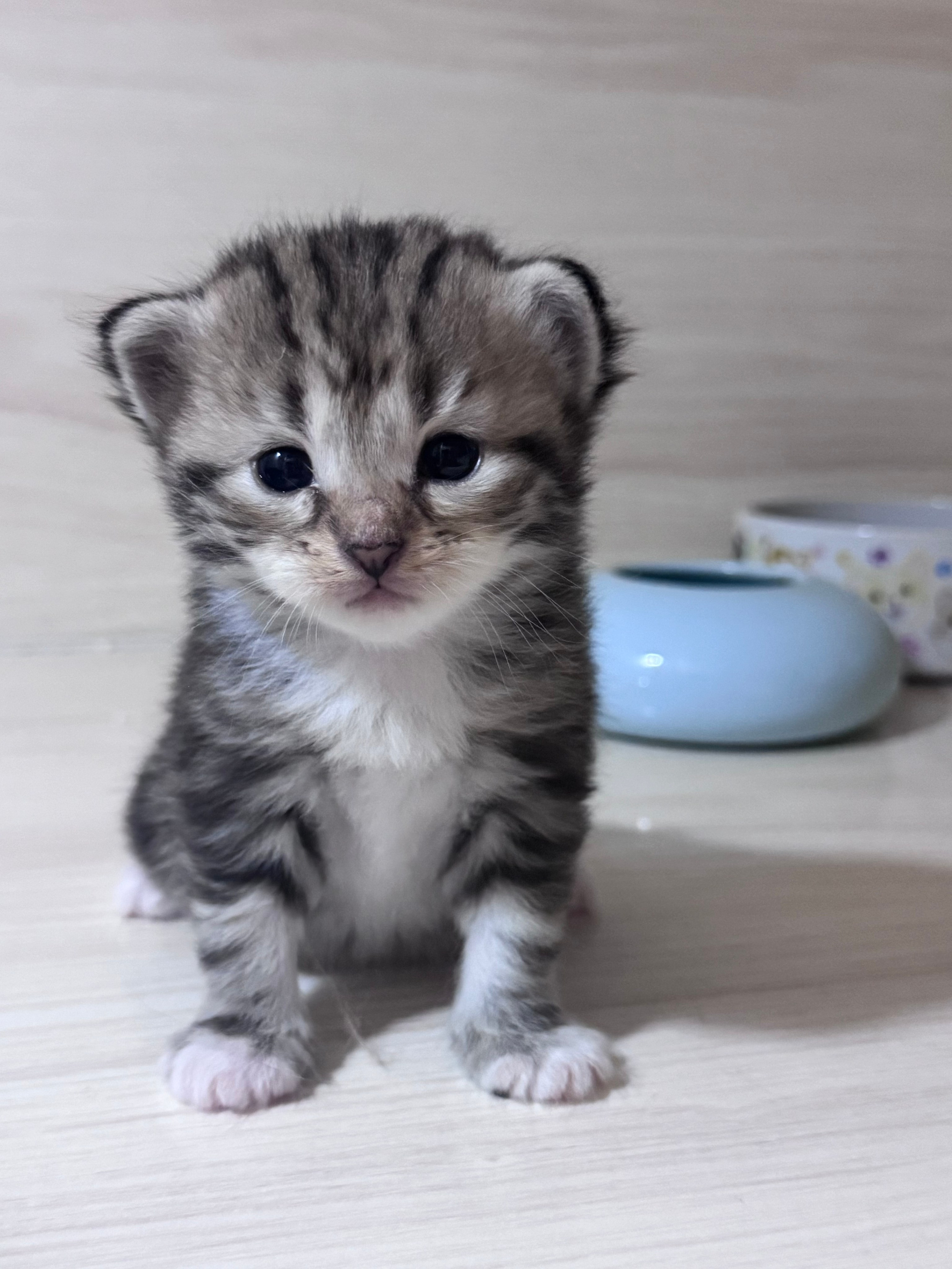 Danielle 3 weeks old