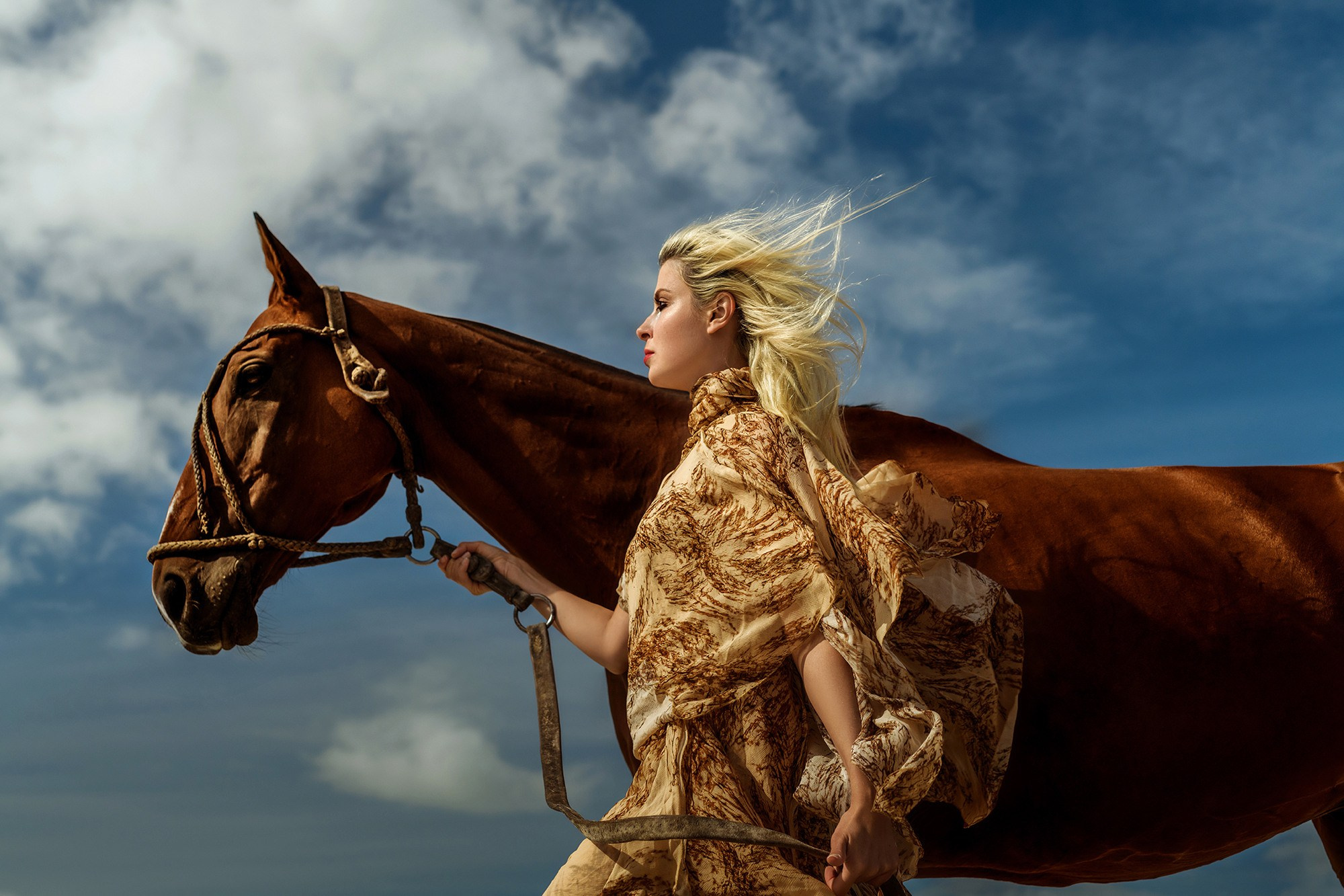 Photo shoot with horses