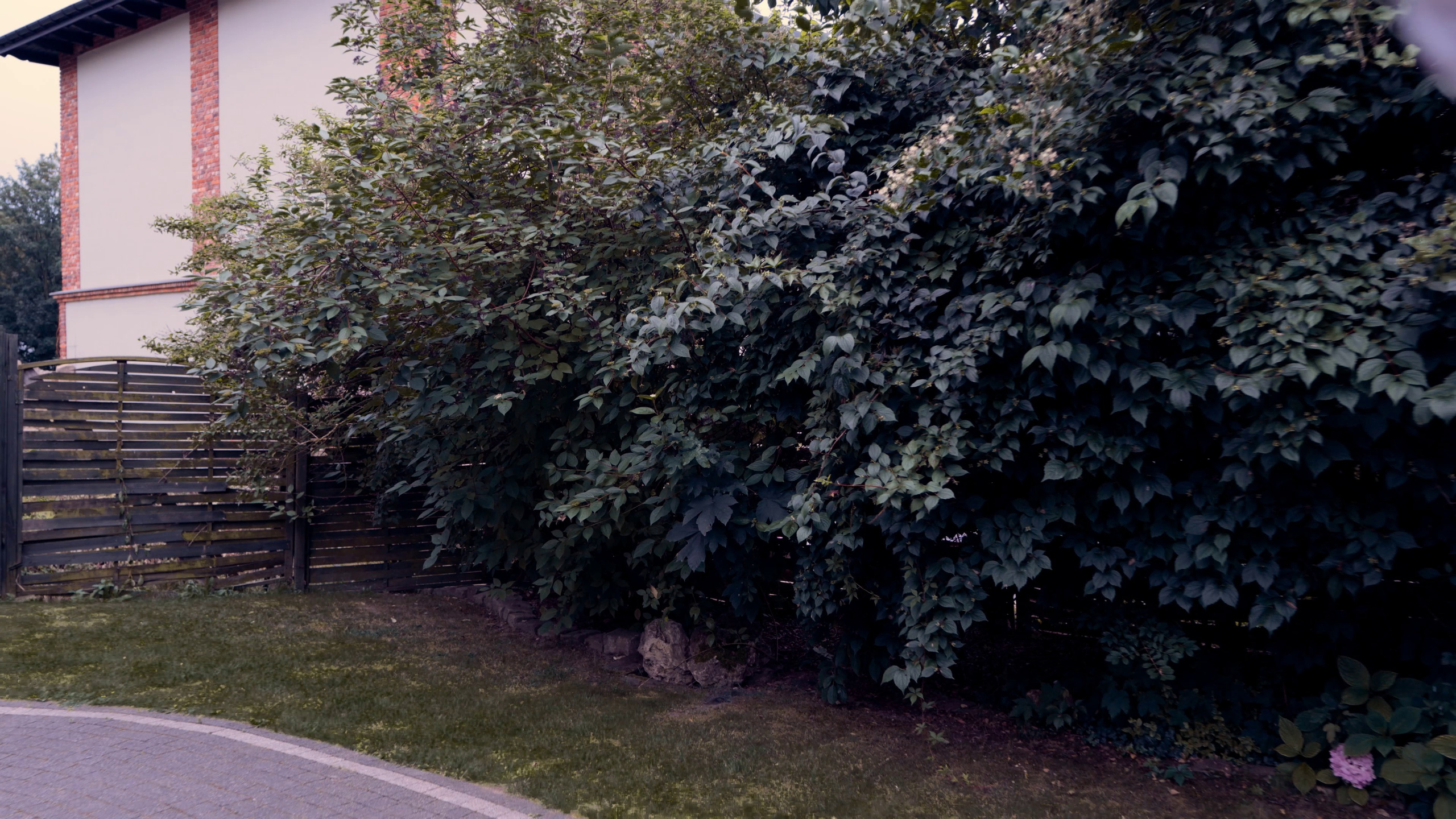 Madzia & Konrad. VideofotKA.pl