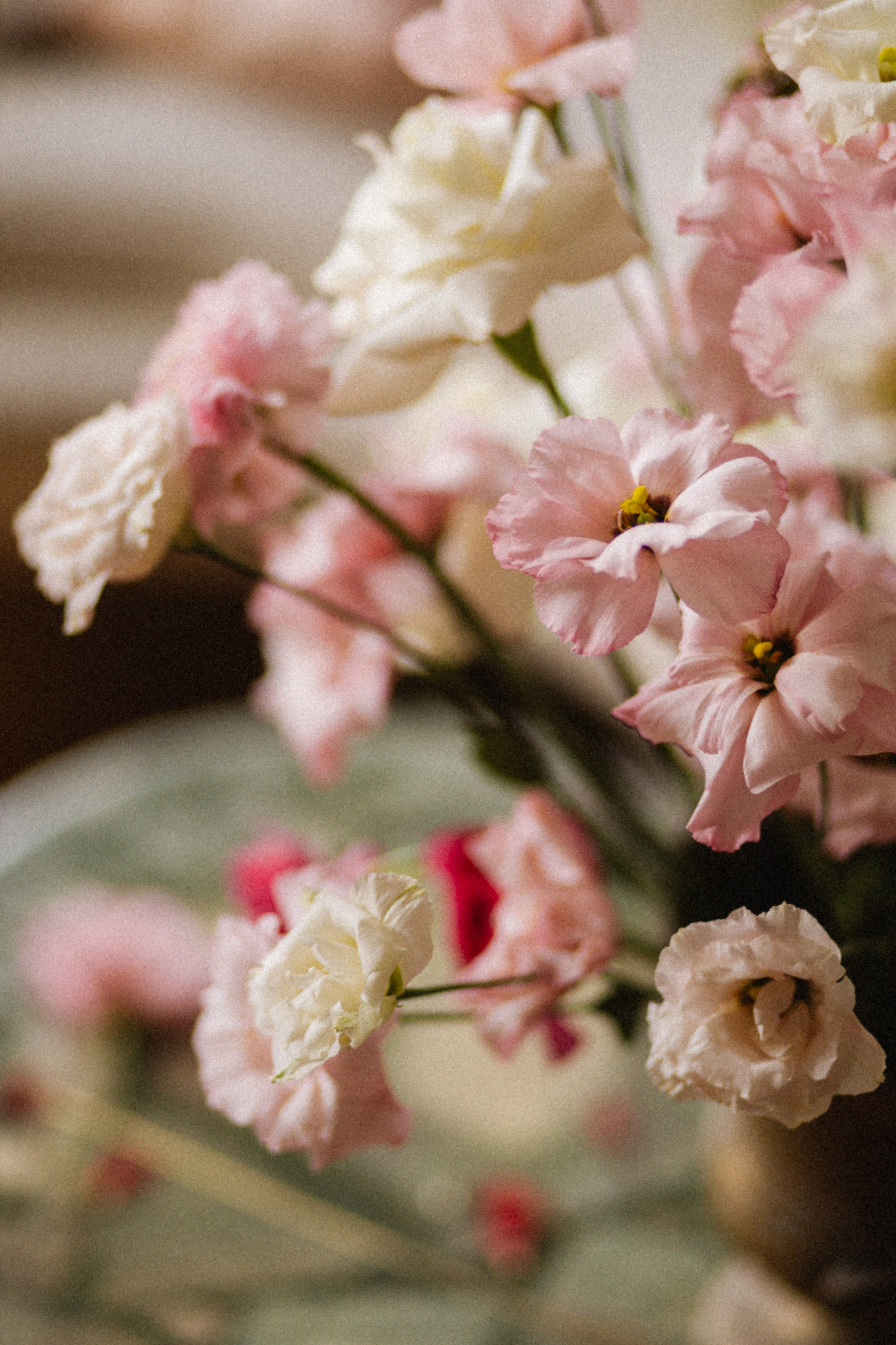 Kylian and Lolita | Elopement in Paris. Yuliya Vaschenok — Photographer in the Netherlands
