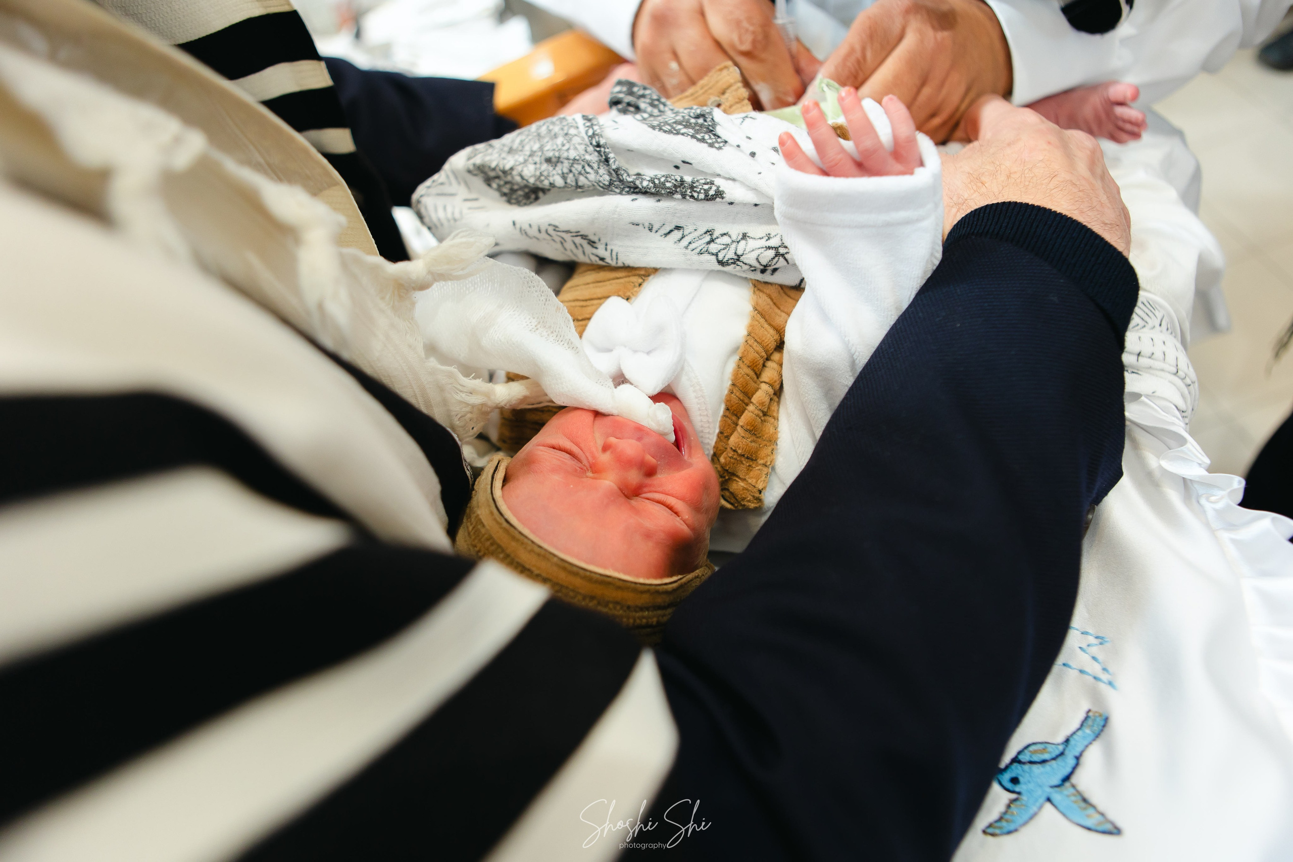 BRIT TWINS. Https://shi-photo.com/