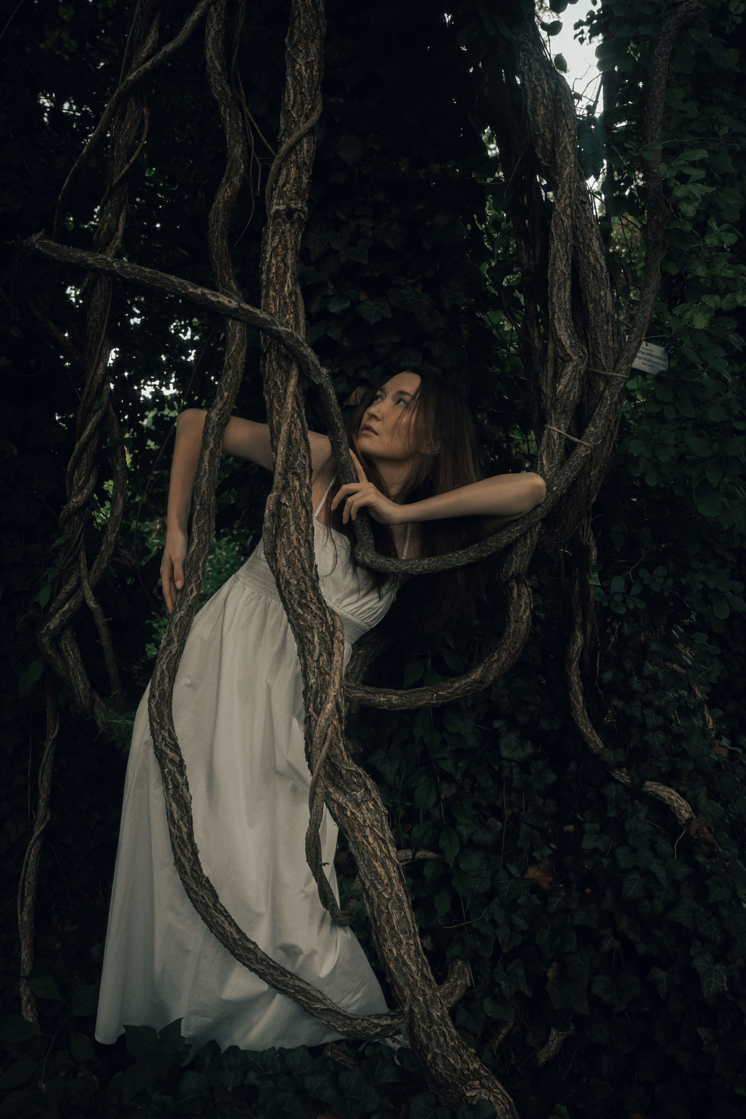 MALIKA. Anna Omni — concept photographer and digital artist in Riga, Latvia