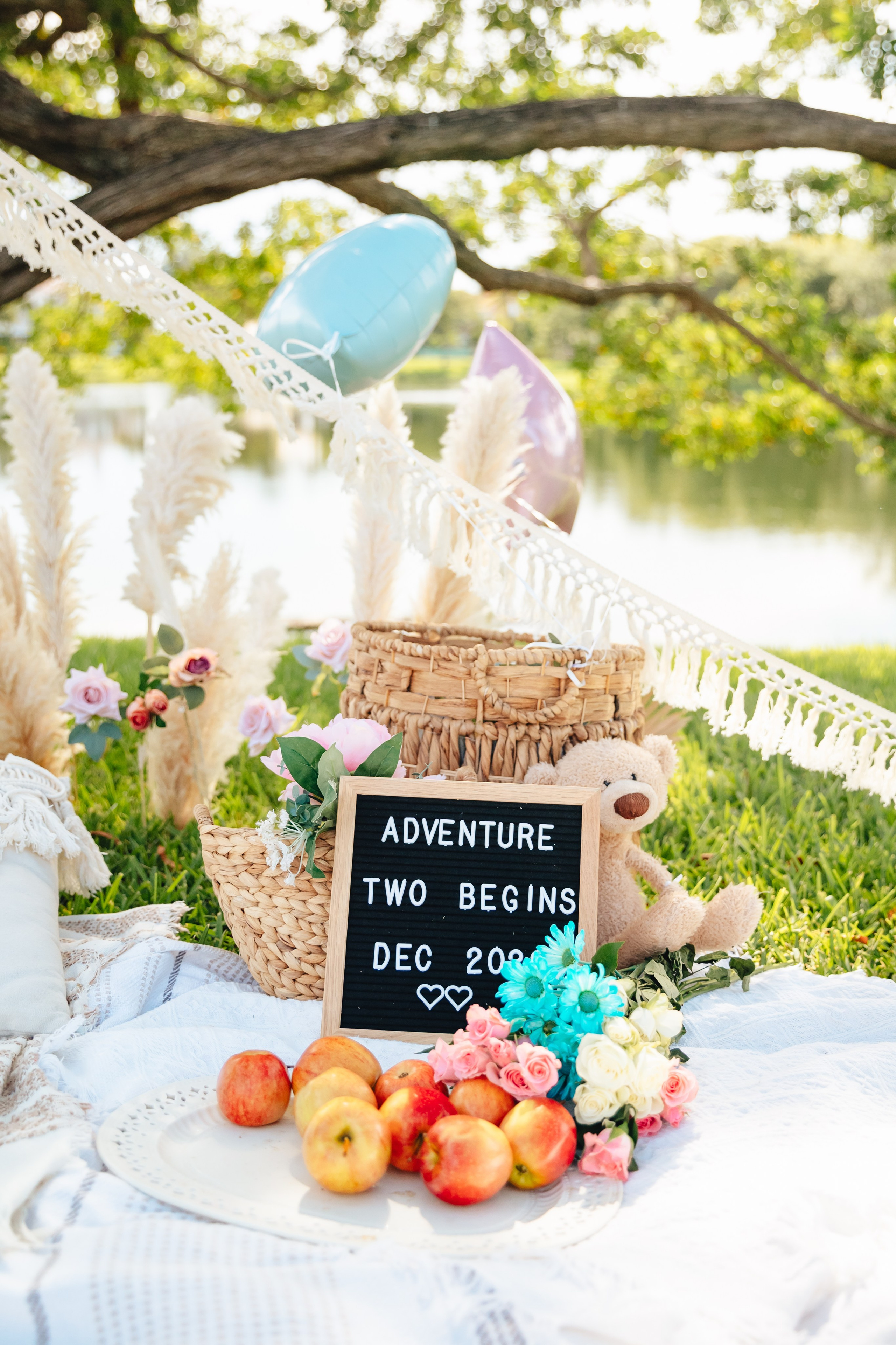 Birthday + props. Photographer in Miami, Family photographer, Event, Wedding