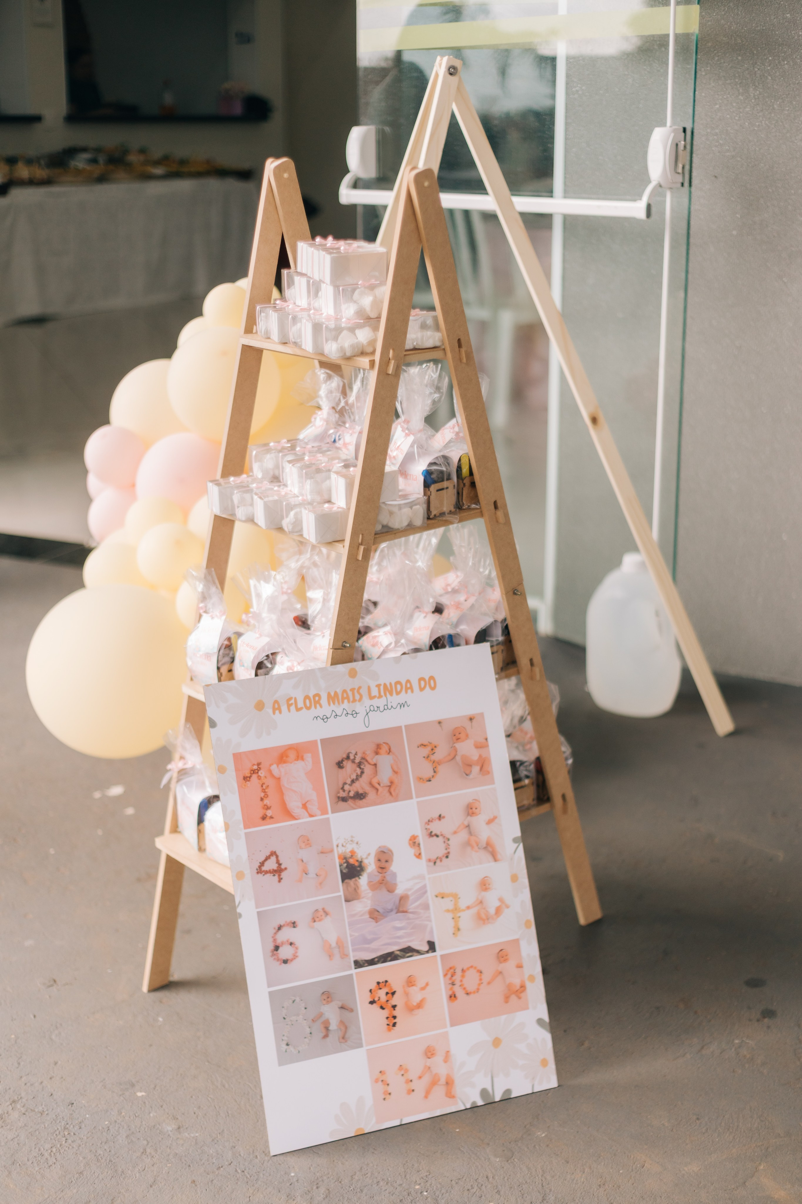 Helena — 1 ano (jul 26). LUCAS MENEGHIN | fotografia