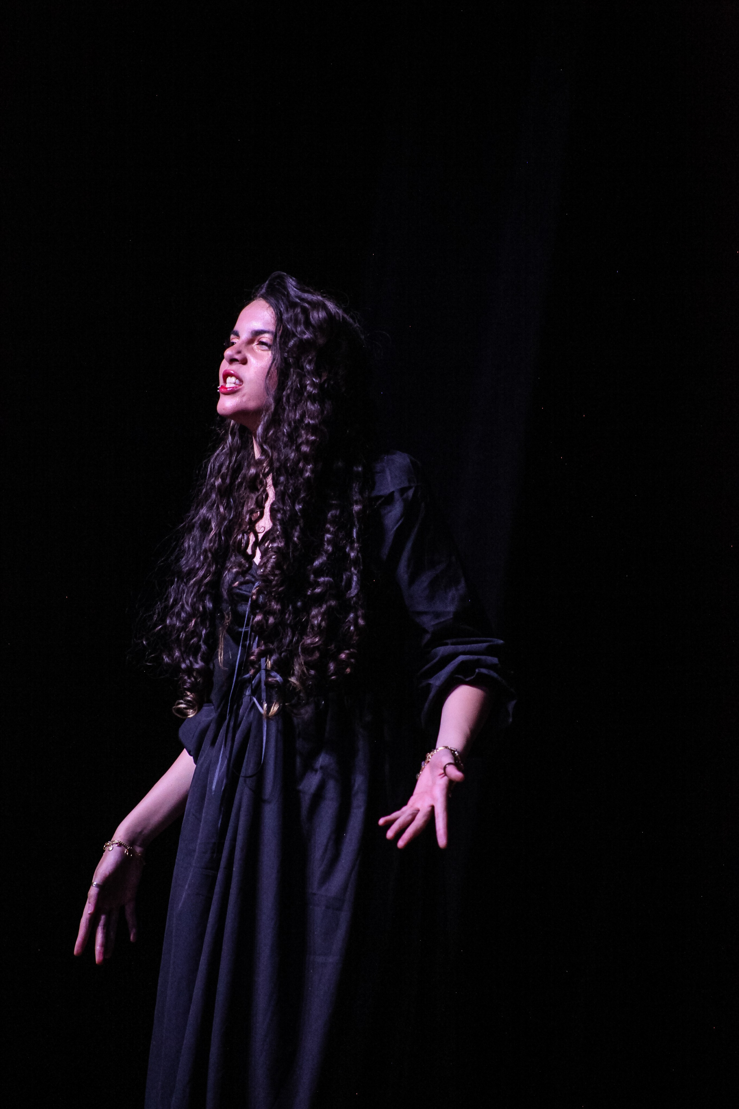 Peça teatral — A Nova Roupa do Rei (dez 24). LUCAS MENEGHIN | fotografia