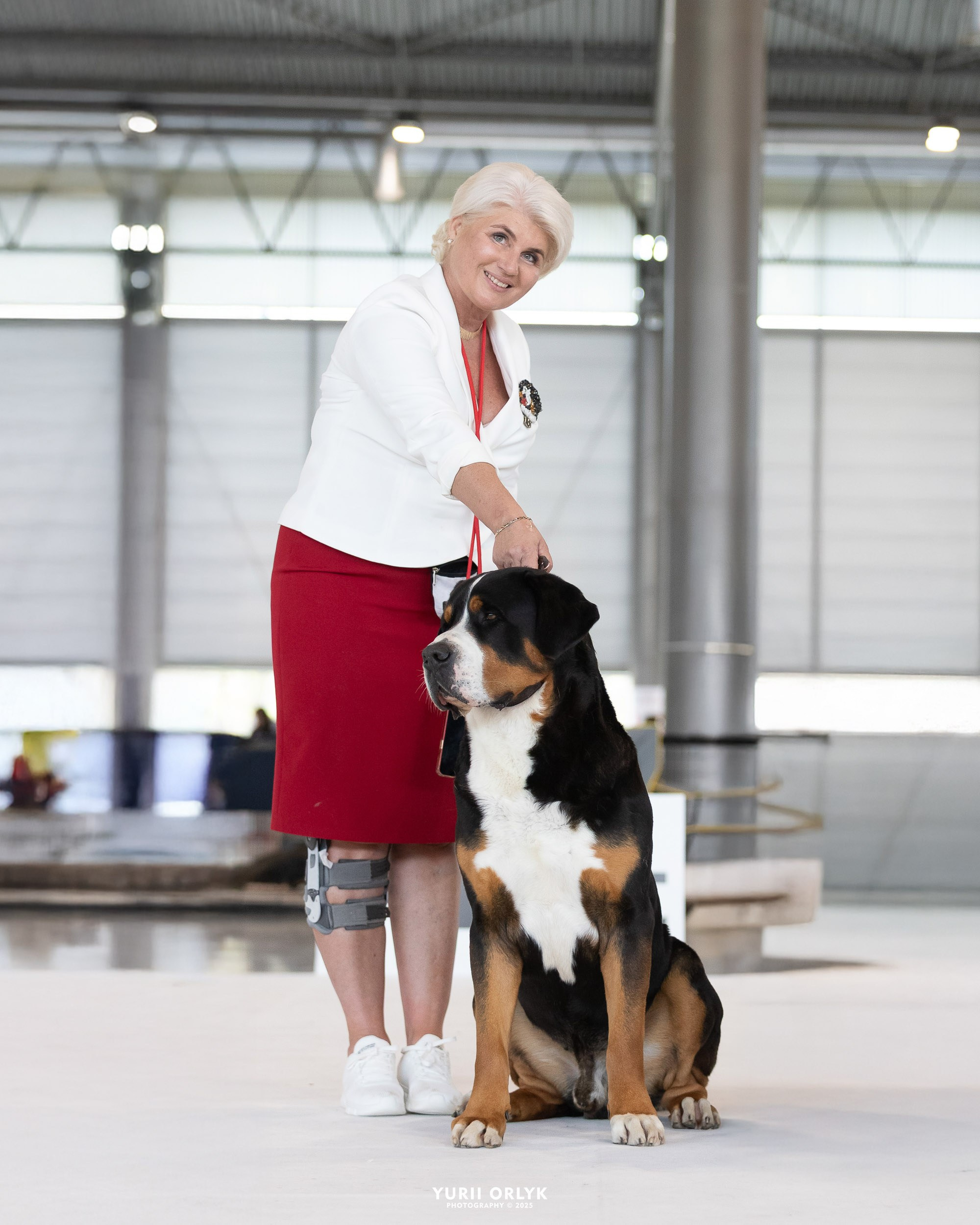 Dog Shows. Yurii Orlyk Photography